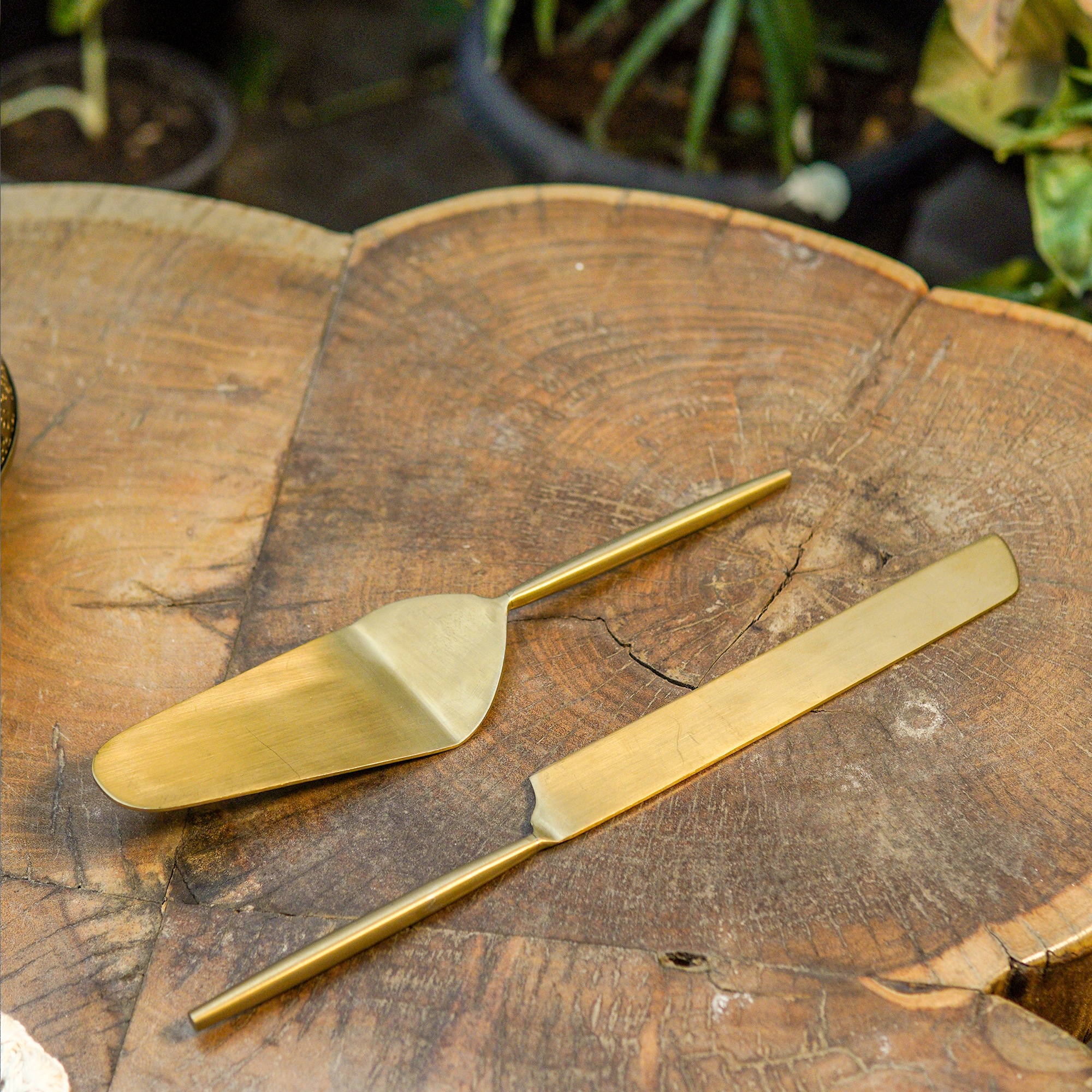 Ambi Pure Brass Delightful Cake Server Set