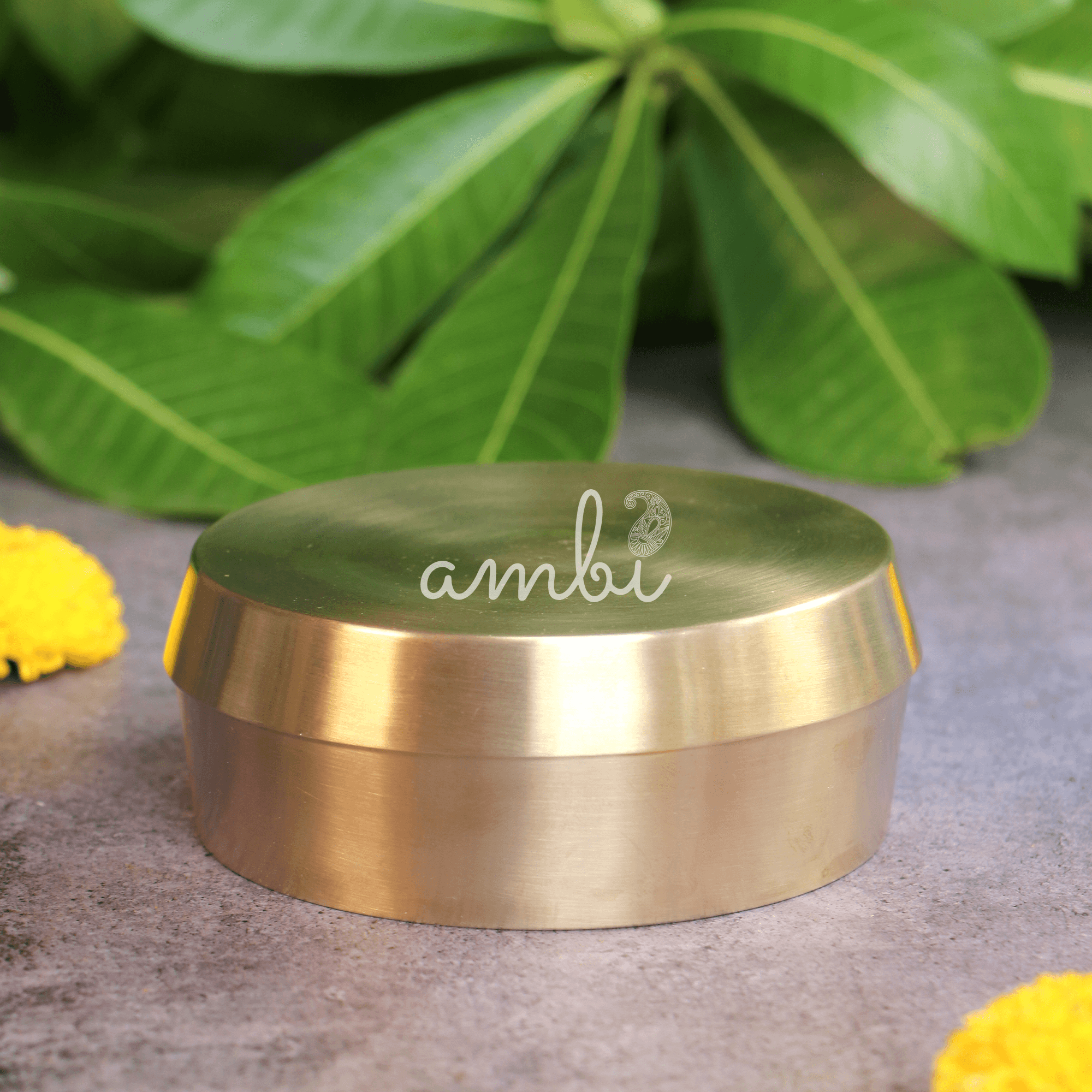 Ambi 100% Pure Lead Free Kansa Almond Soaking Box with Top Cover Lid - Medium