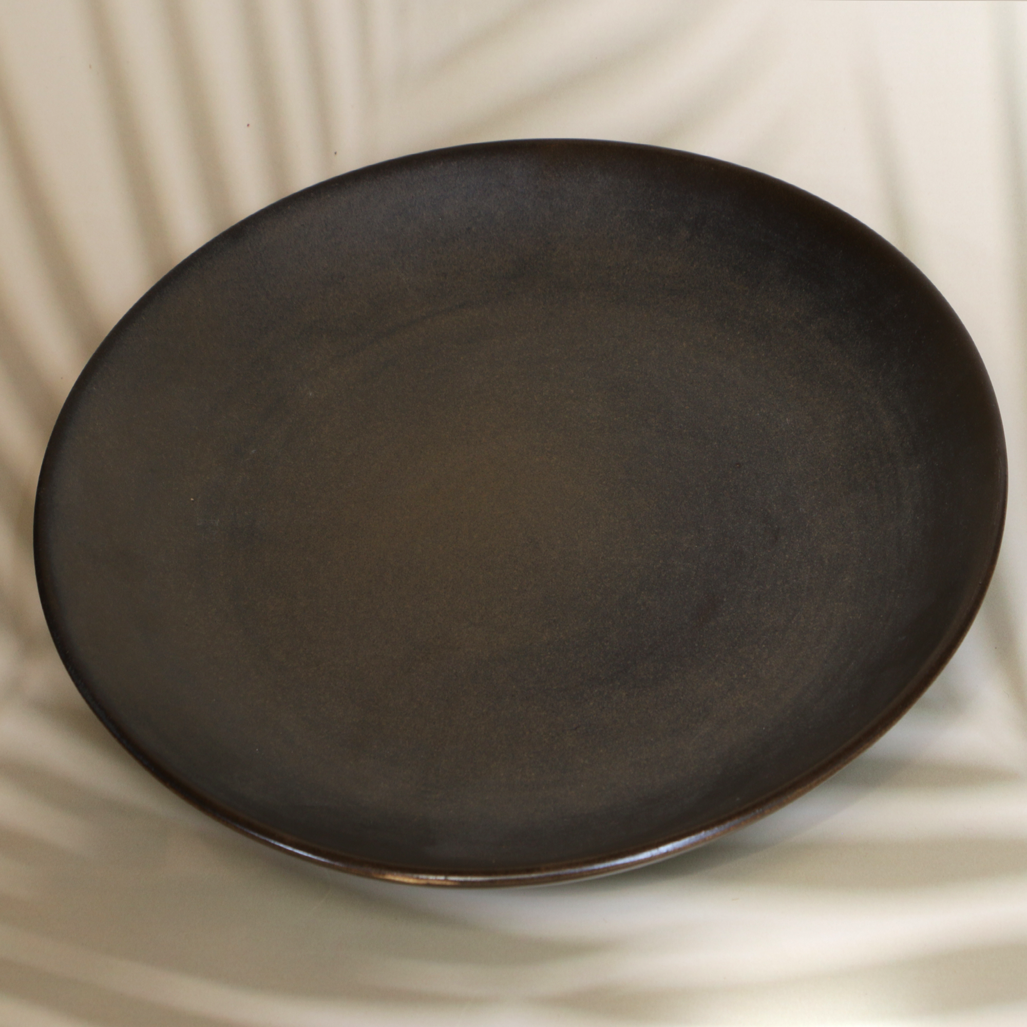 Ambi Stoneware Charcoal Black Dinner Plate 10 inches
