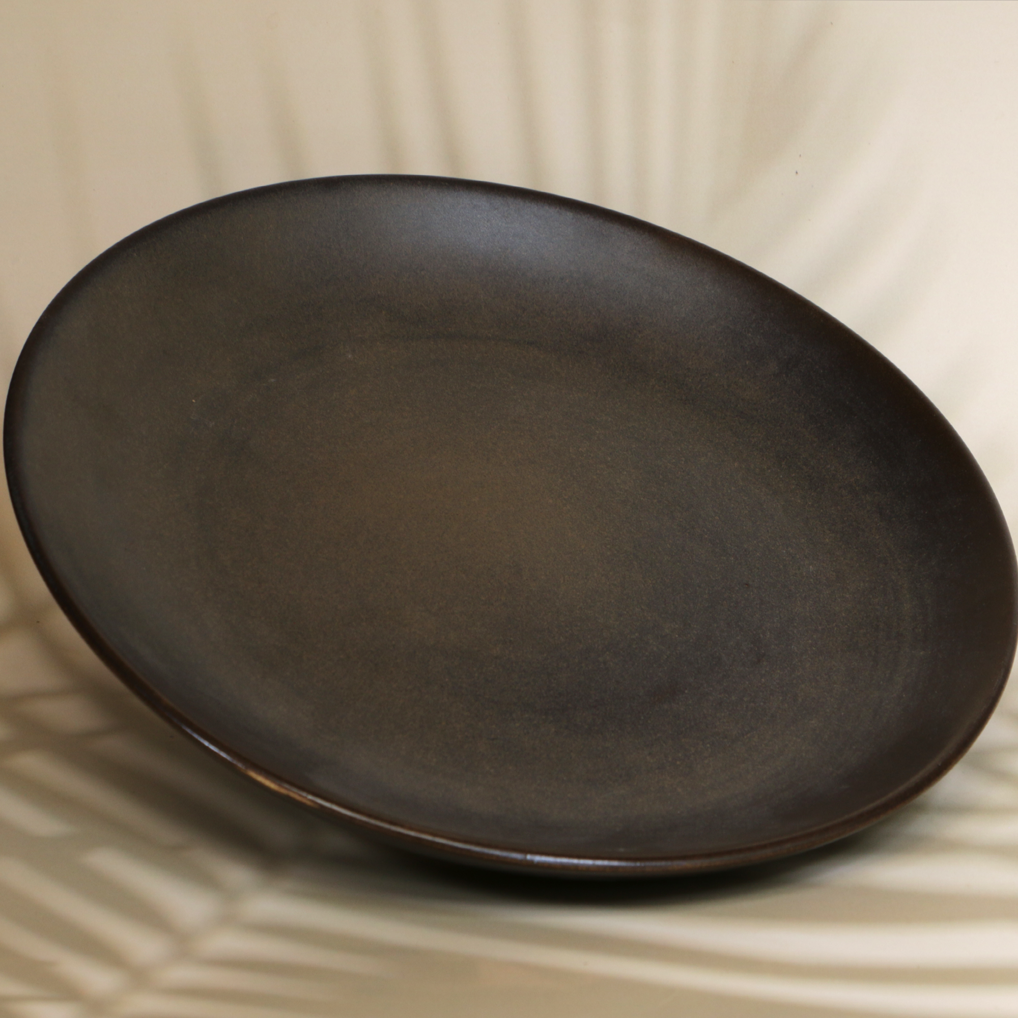 Ambi Stoneware Charcoal Black Dinner Plate 10 inches
