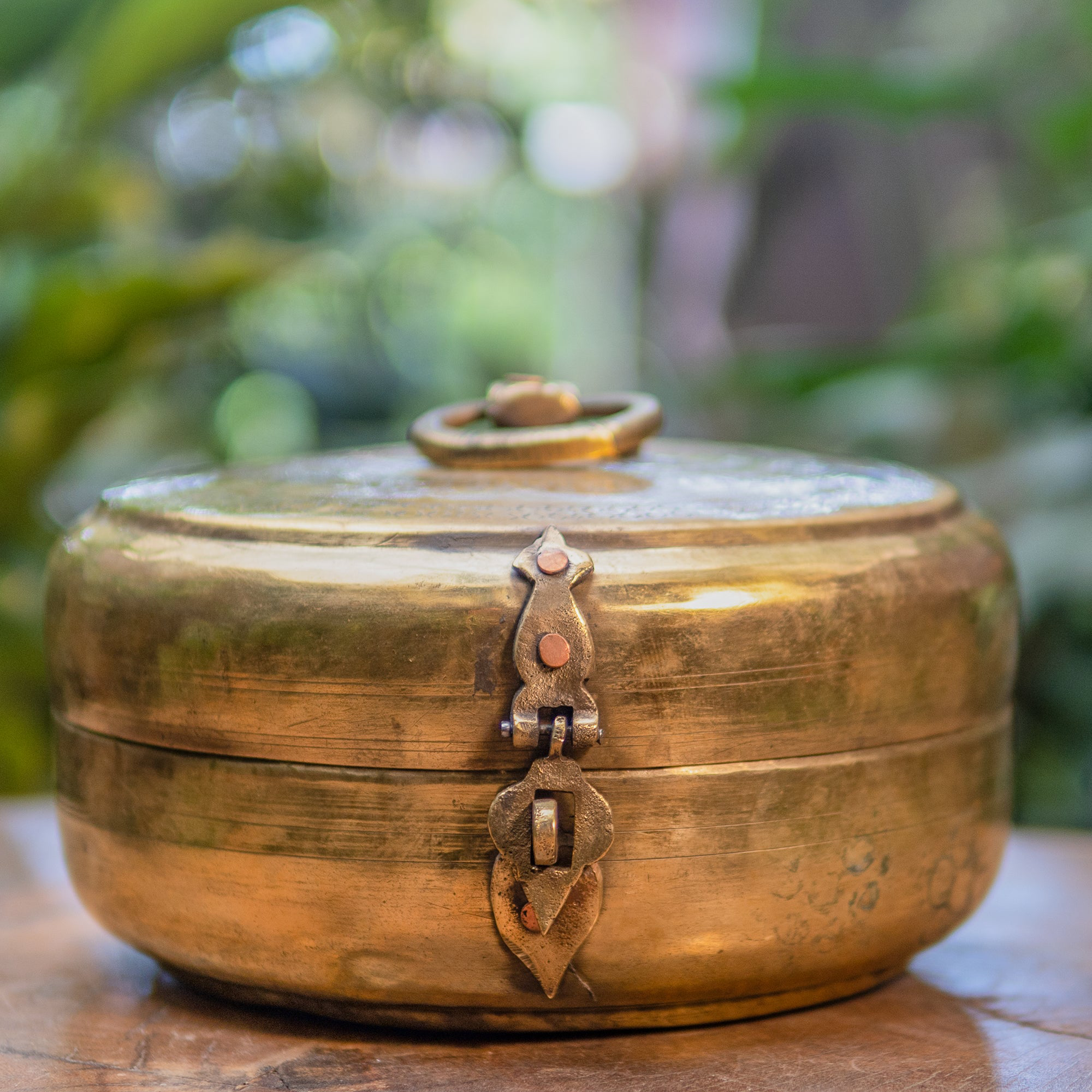 Brass box with decorative clasp on a wooden surface with blurred greenery in the background