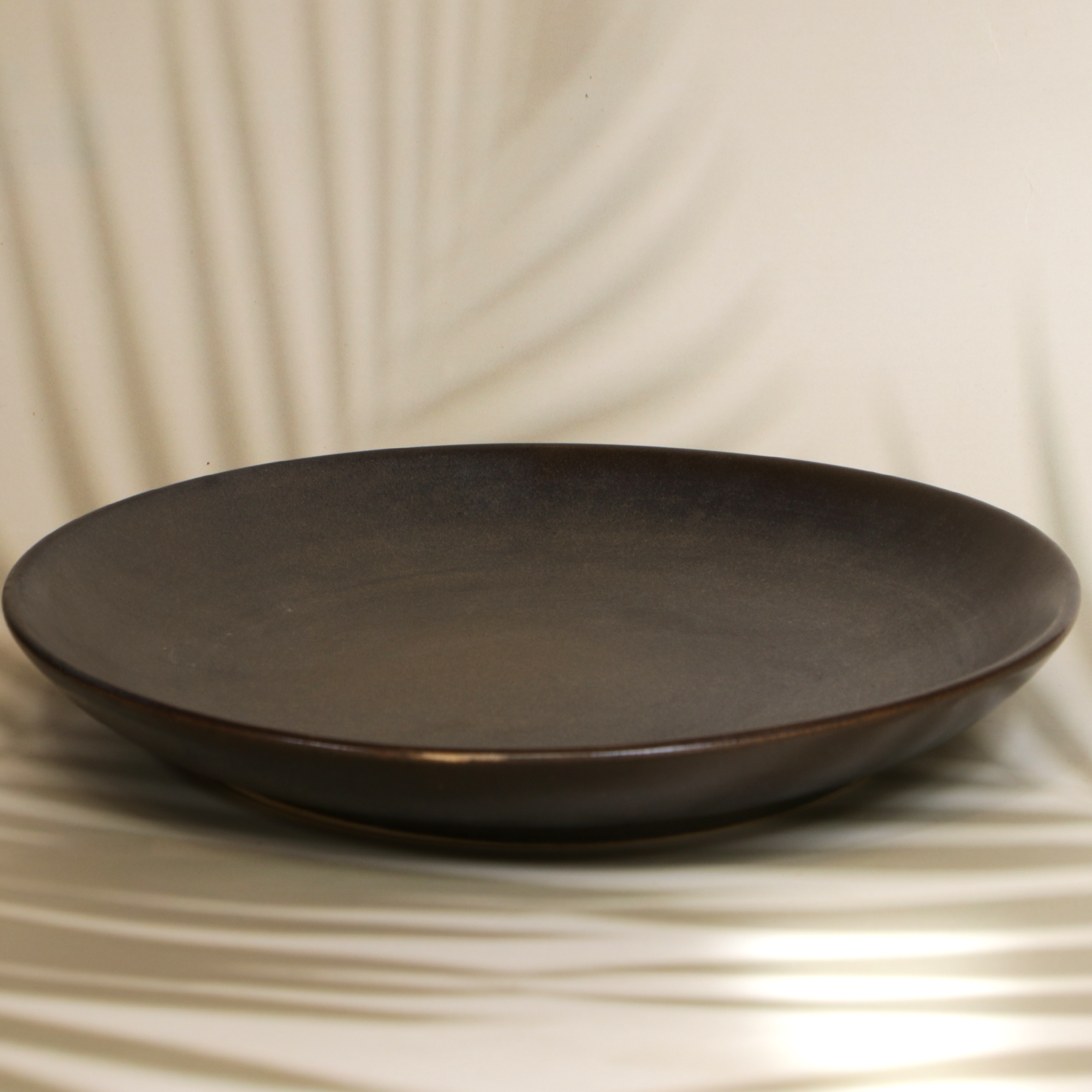 Ambi Stoneware Charcoal Black Dinner Plate 10 inches