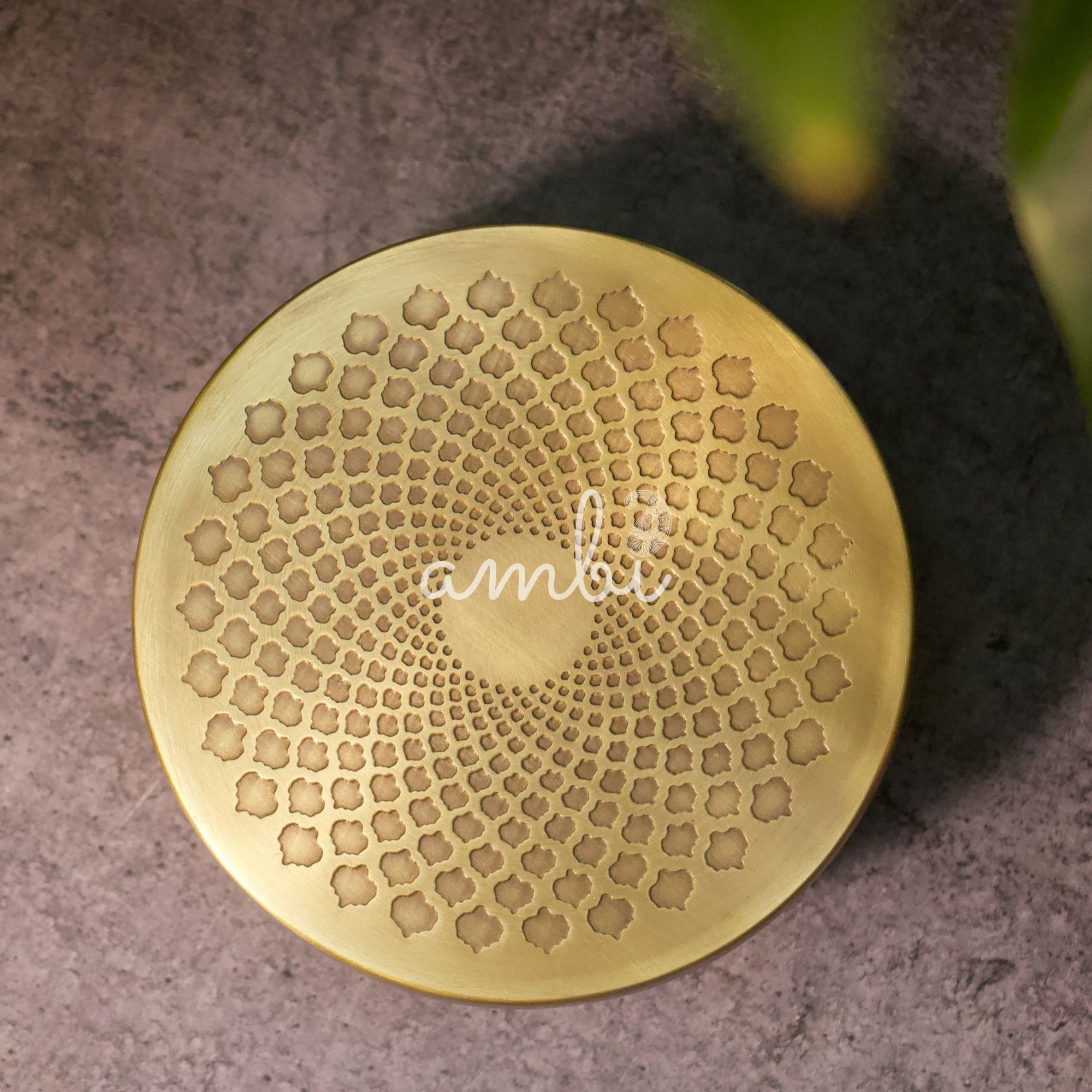 Classy Pure Brass Spice Box Masala Daani with 7 Spice Containers - with Antique Finish - 8 Inch