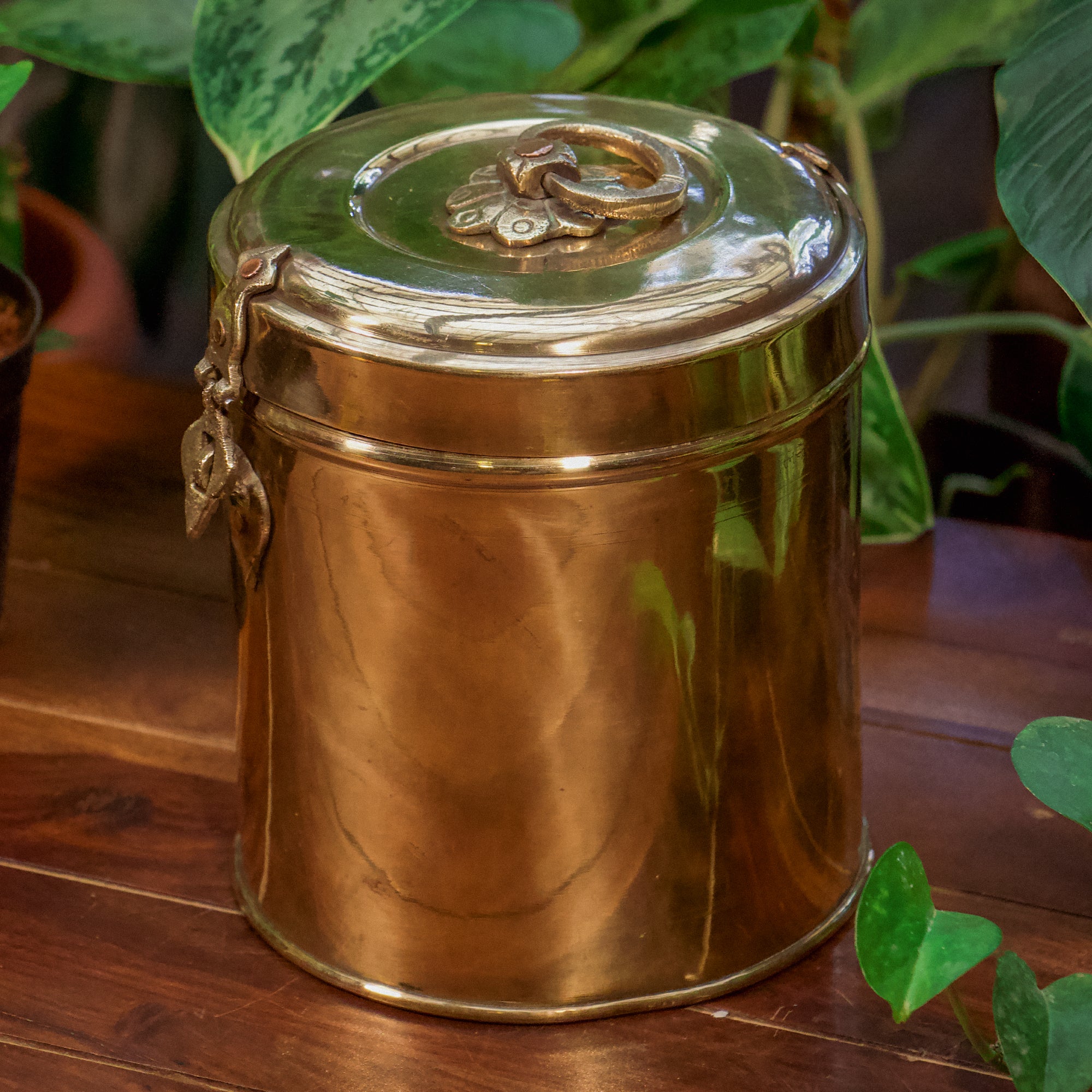 Container Long DRAFT 07