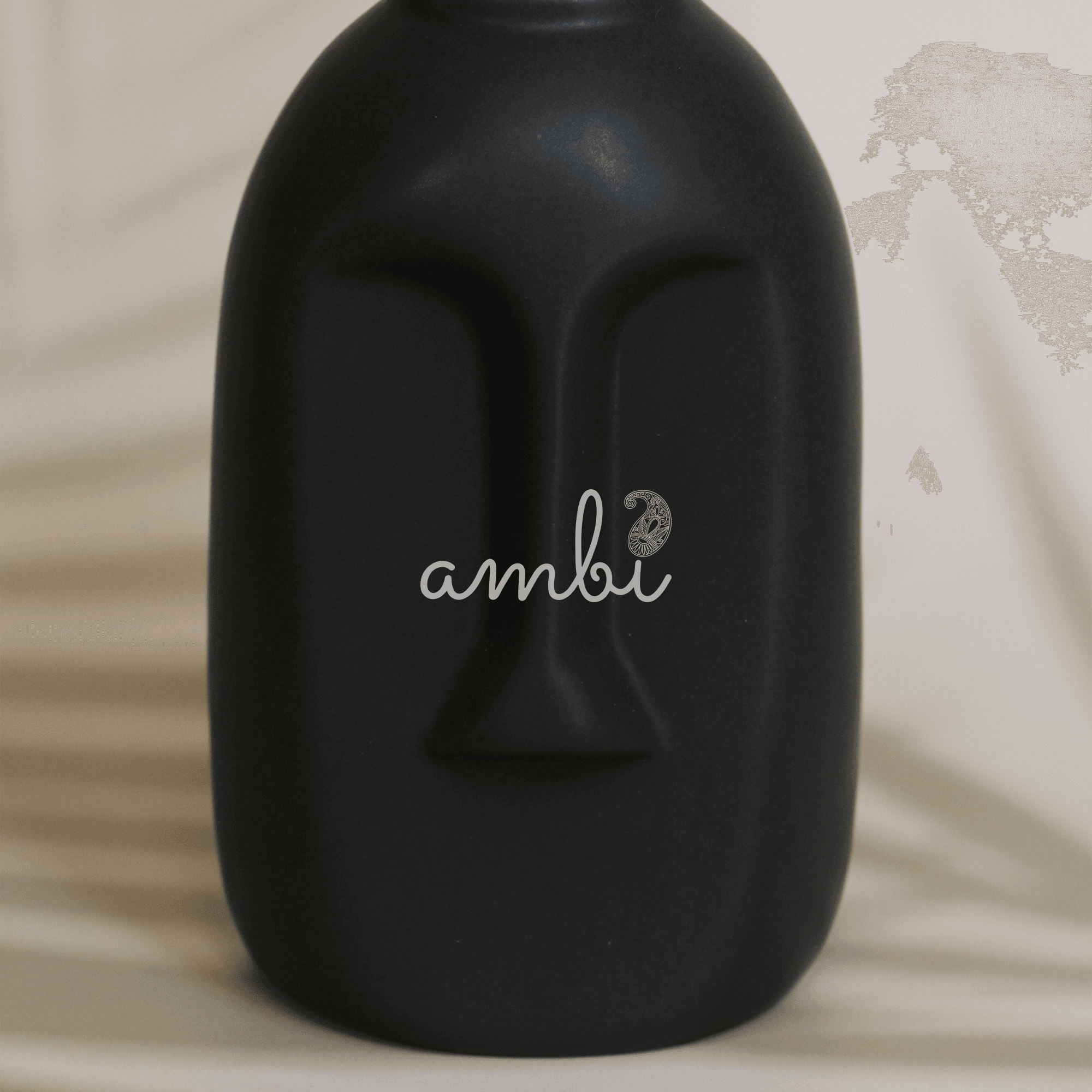 Ambi Charcoal Black Planter