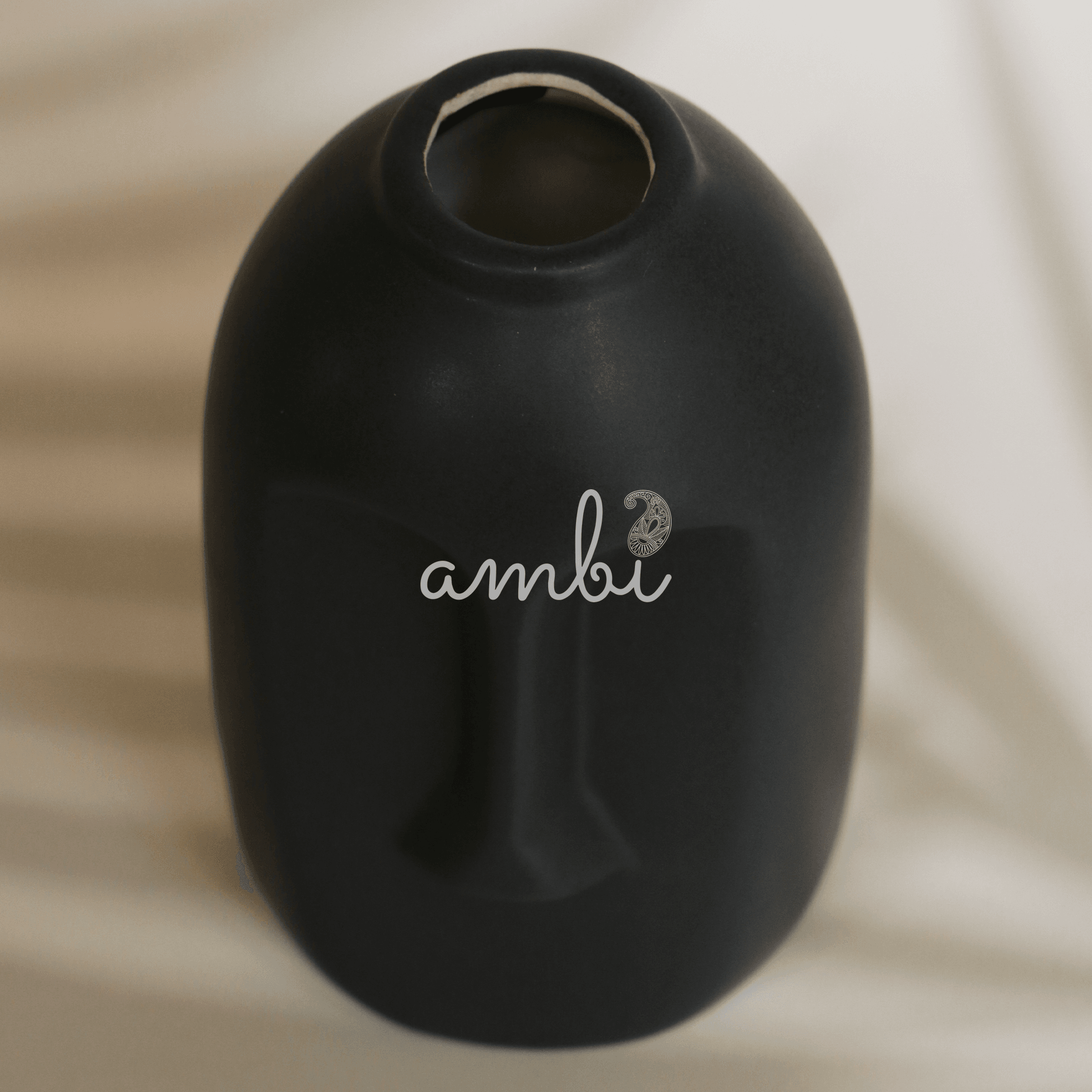 Ambi Charcoal Black Planter