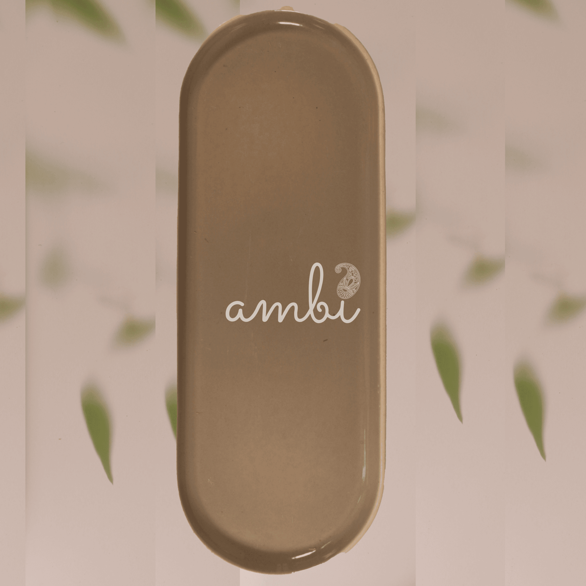Ambi Stoneware Beige Sushi Platter 12 inch