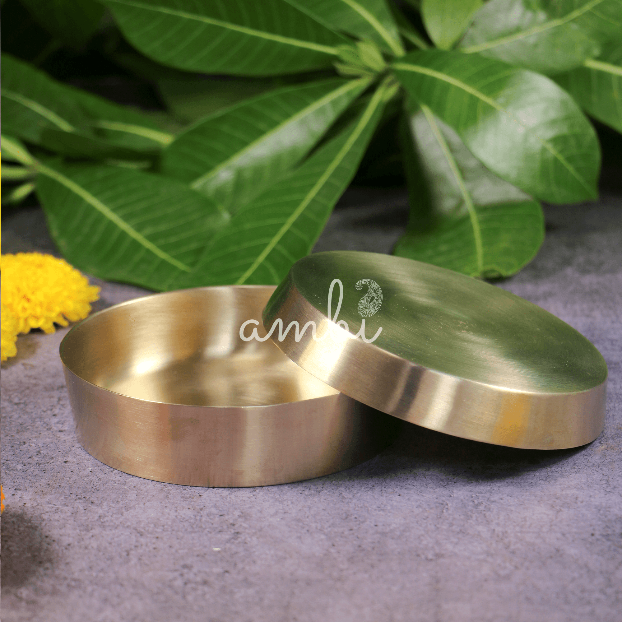 Ambi 100% Pure Lead Free Kansa Almond Soaking Box with Top Cover Lid - Medium