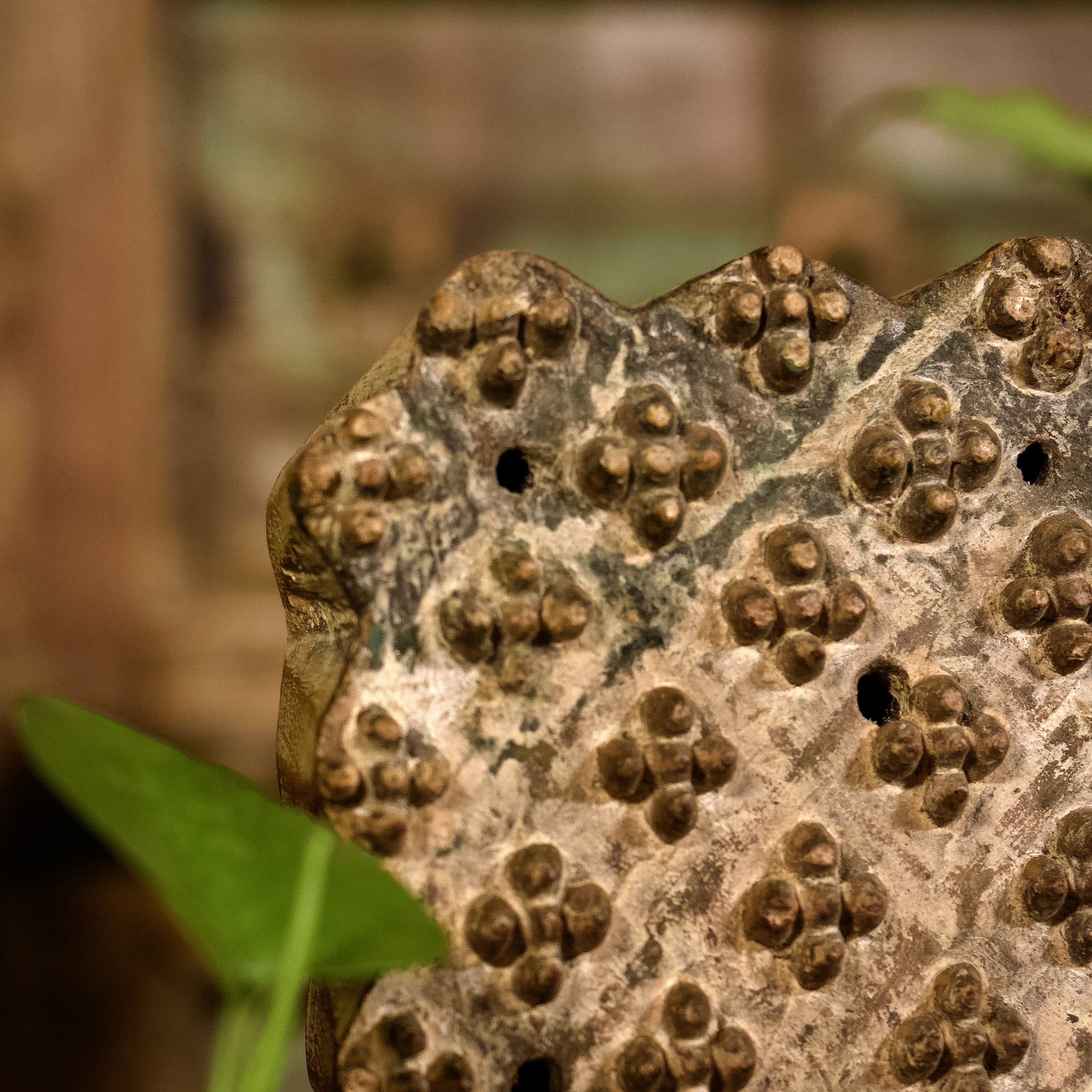 Hook on Rustic Block Print Wood Base - Distressed Look