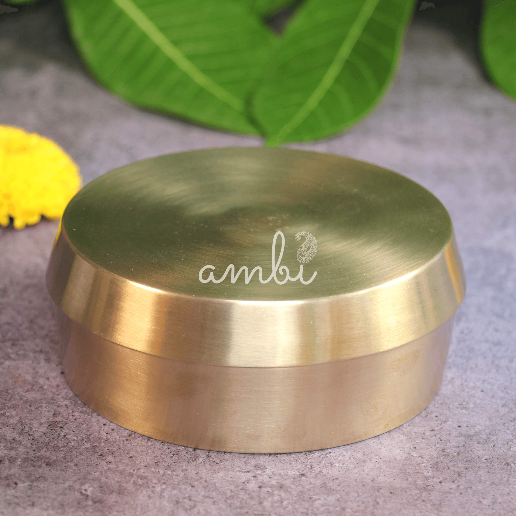 Ambi 100% Pure Lead Free Kansa Almond Soaking Box with Top Cover Lid - Medium