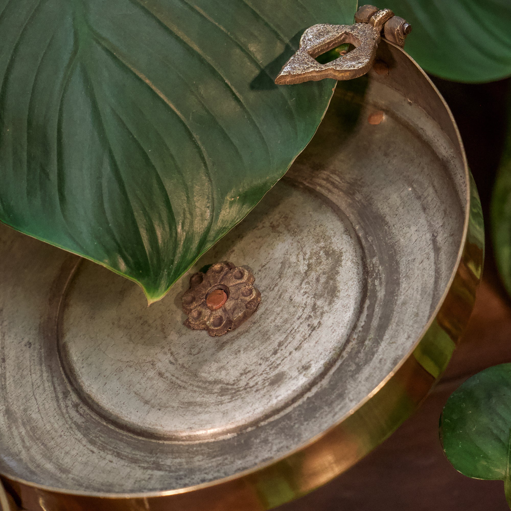 Container Long DRAFT 07