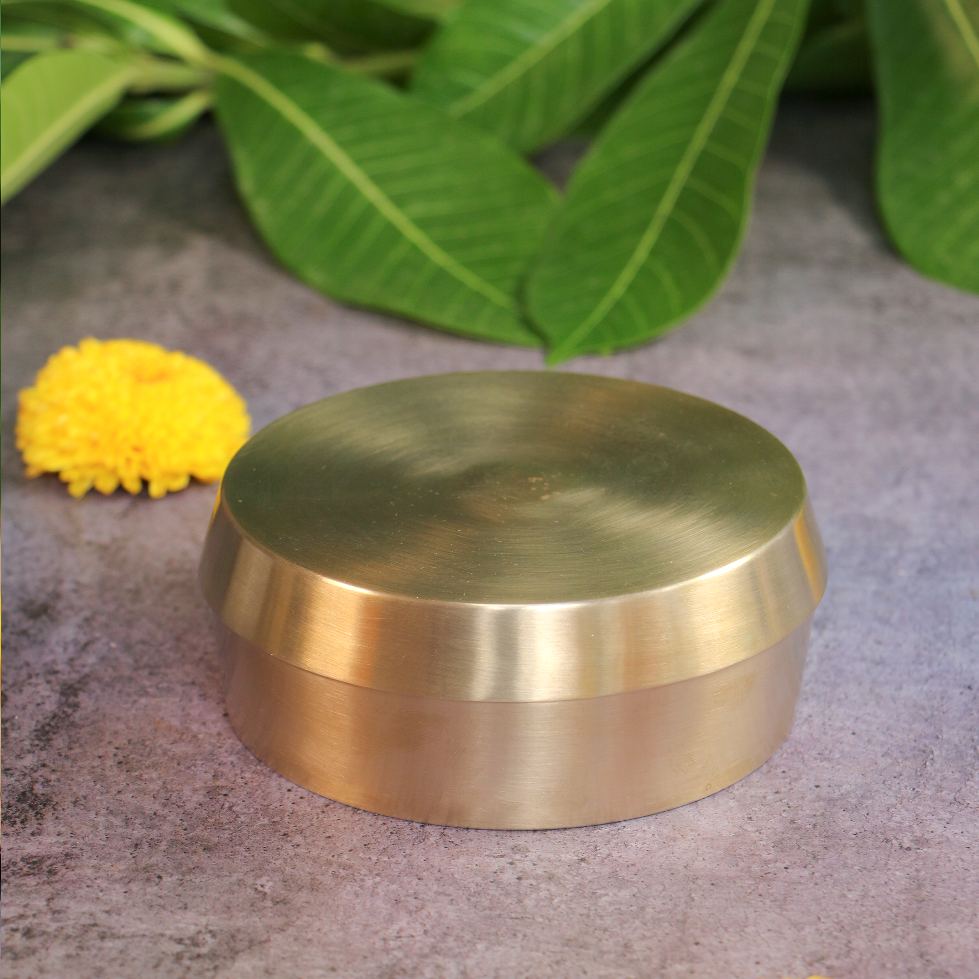 Ambi 100% Pure Lead Free Kansa Almond Soaking Box with Top Cover Lid - Medium