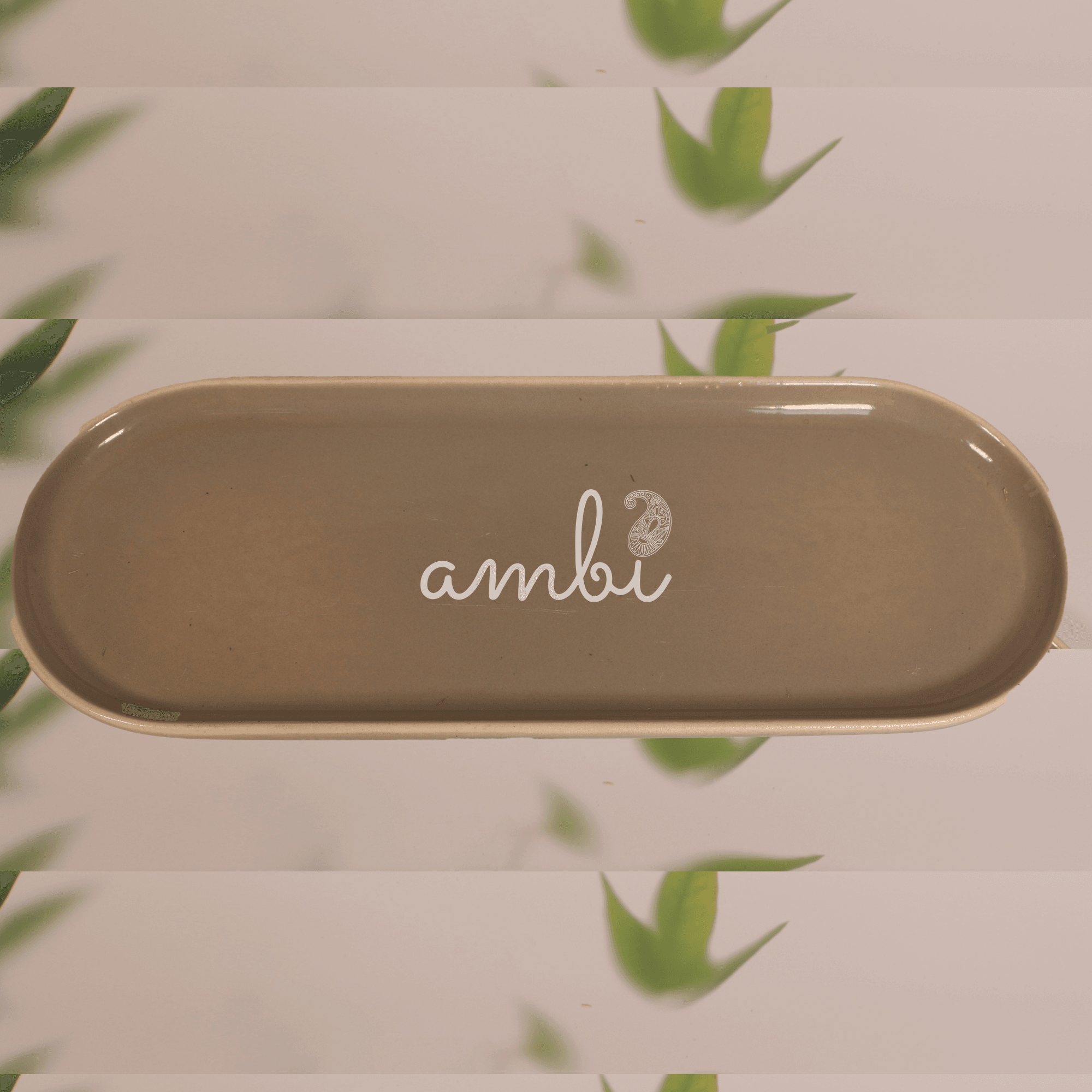 Ambi Stoneware Beige Sushi Platter 12 inch