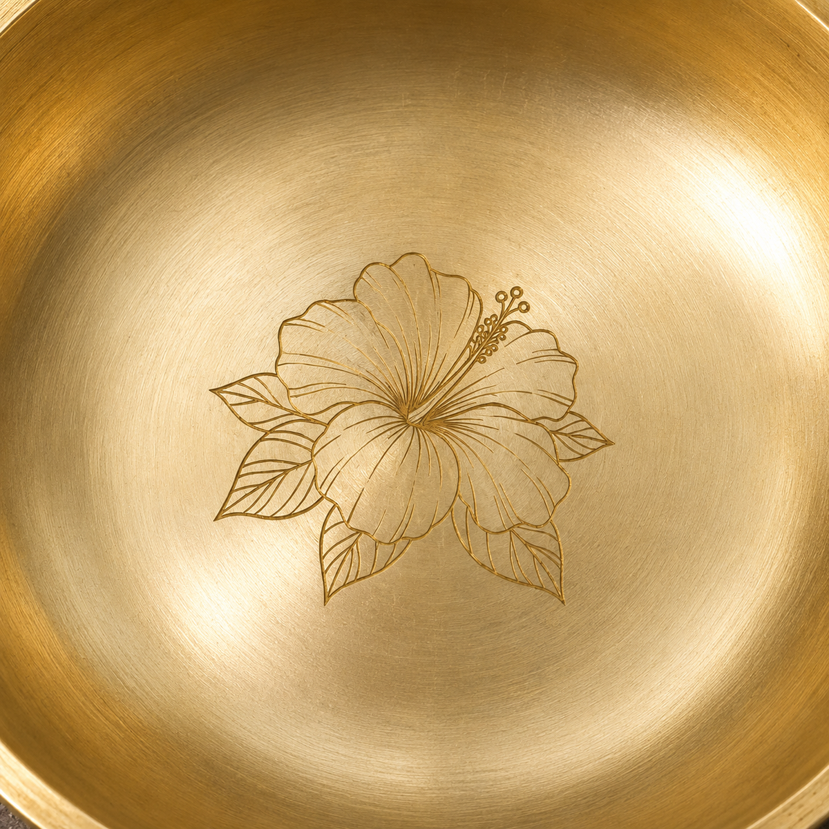 Ambi Hibiscus-Etched Pure Kansa Plate and Brass Spoon Gift Box | Set of 2