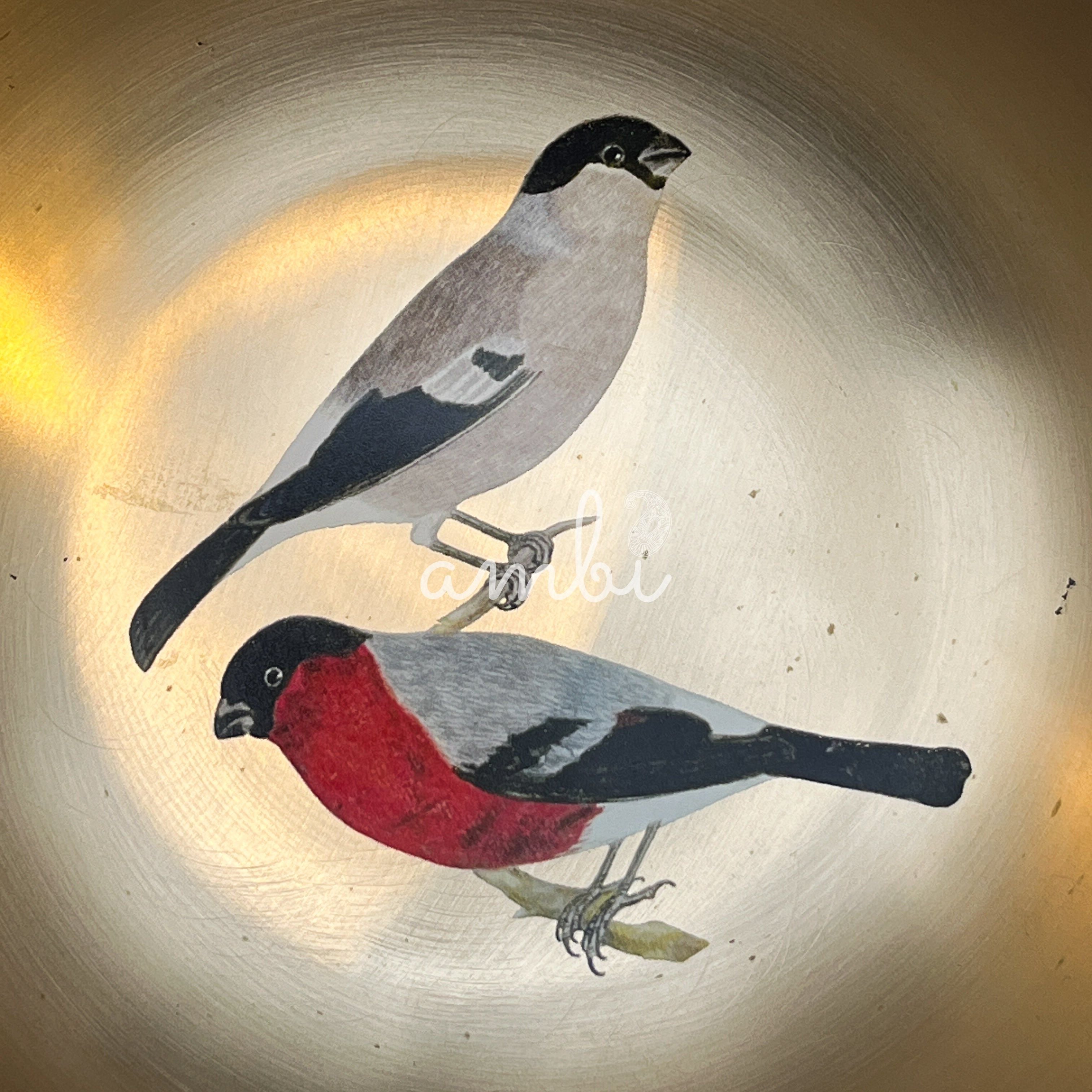 AMBI Pure 100% Lead Free Kansa Sparrow Hand Painted Finish Kansa Elegant Large Serving Bowl - 6.5 Inches - 930 ML