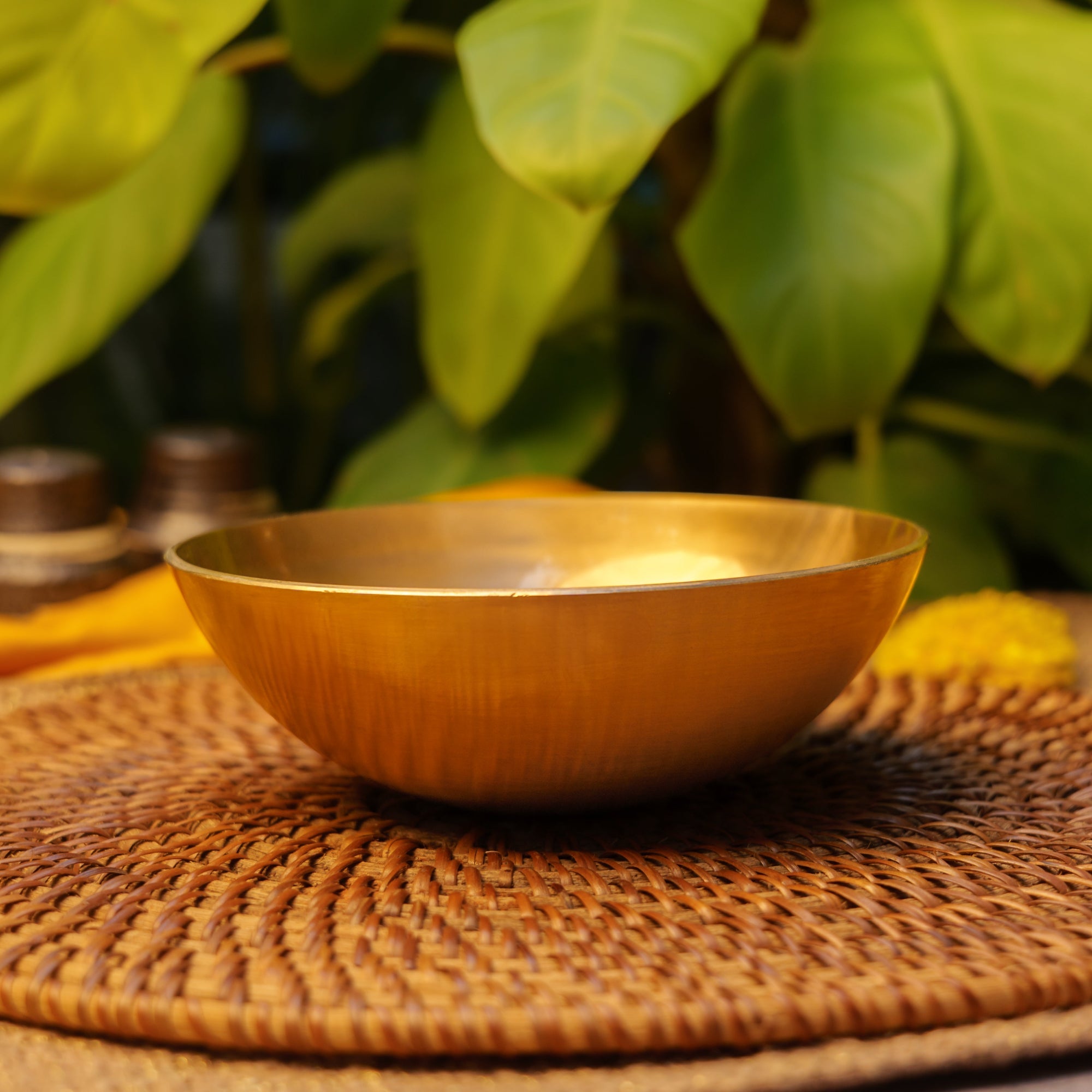Ambi Pure 100% Lead Free Kansa Two Parrots Hand Painted Finish Large Serving Bowl - 6.5 Inches - 450 ML