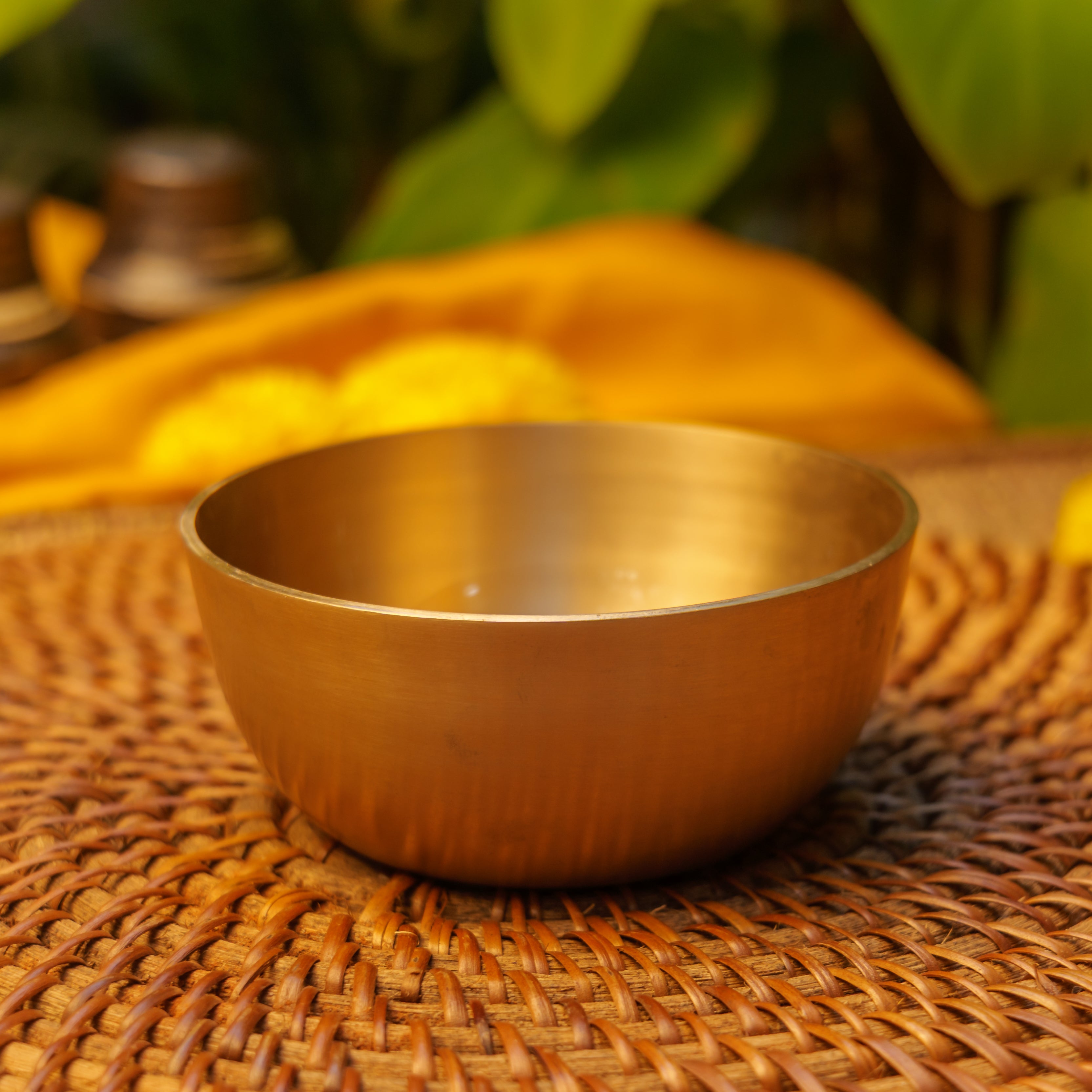 Pure 100% Lead Free Kansa Parrot Hand Painted Finish Medium Bowl 4 Inches - 270 ML