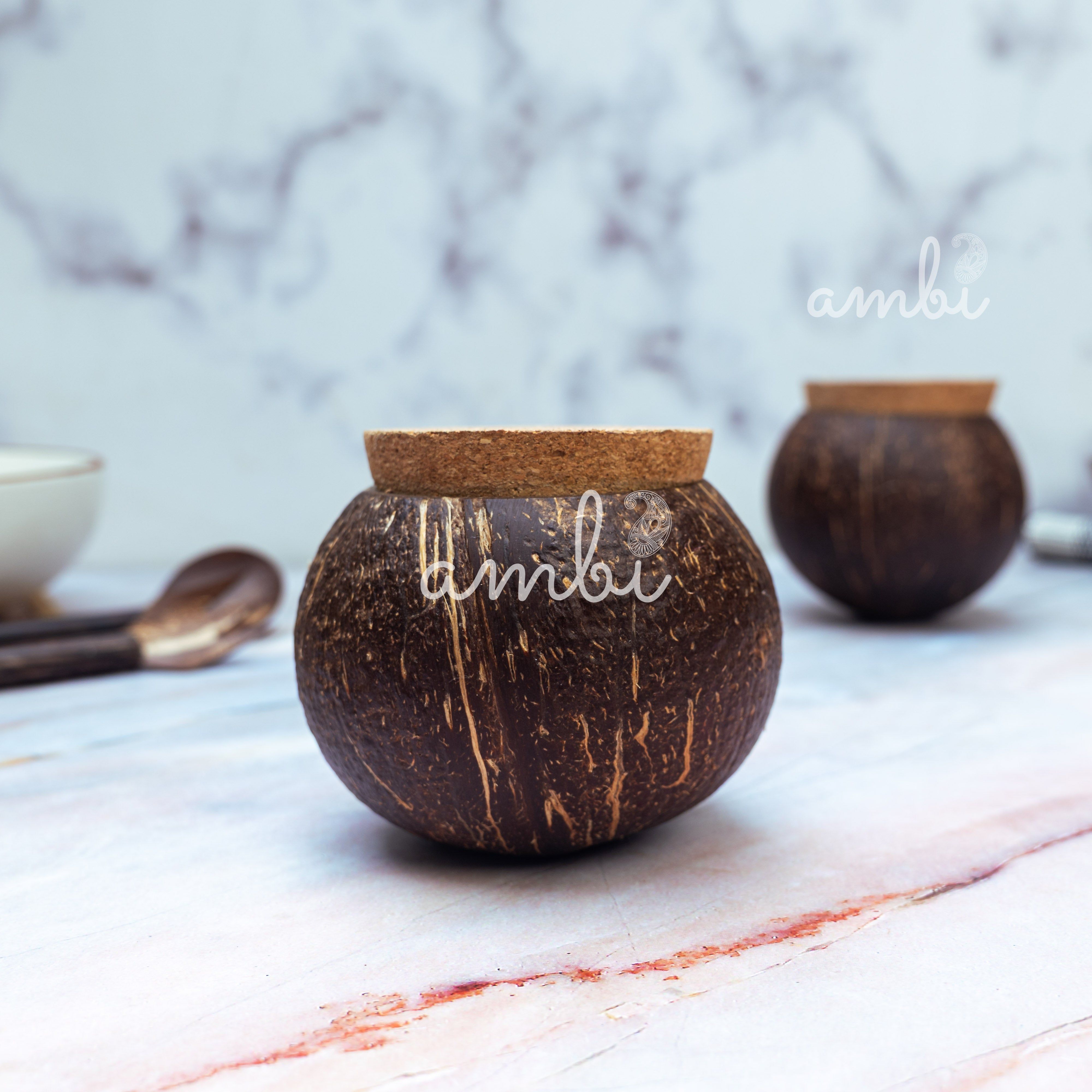 Coconut Shell Tight Storage Containers with Lid - Set of 2