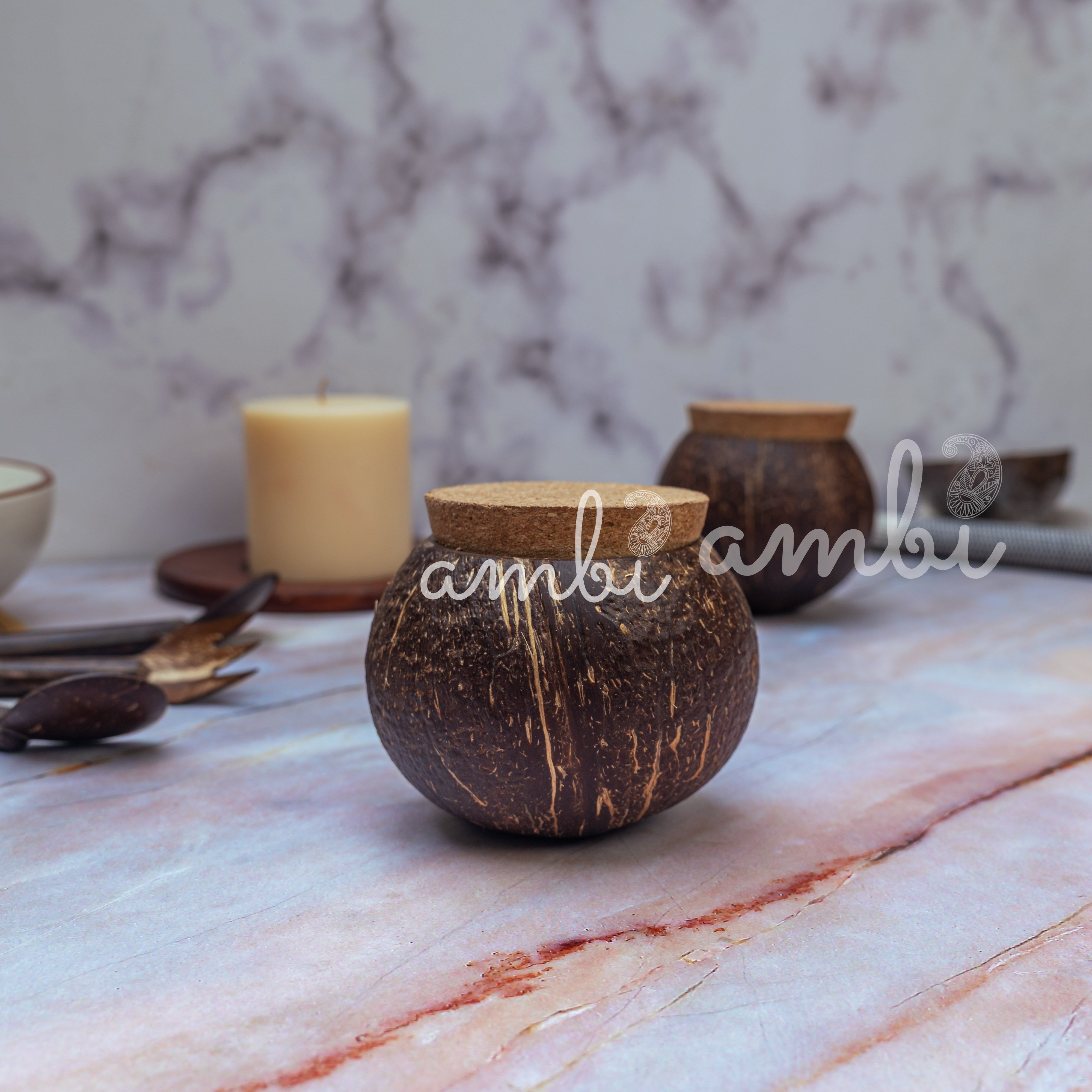 Coconut Shell Tight Storage Containers with Lid - Set of 2