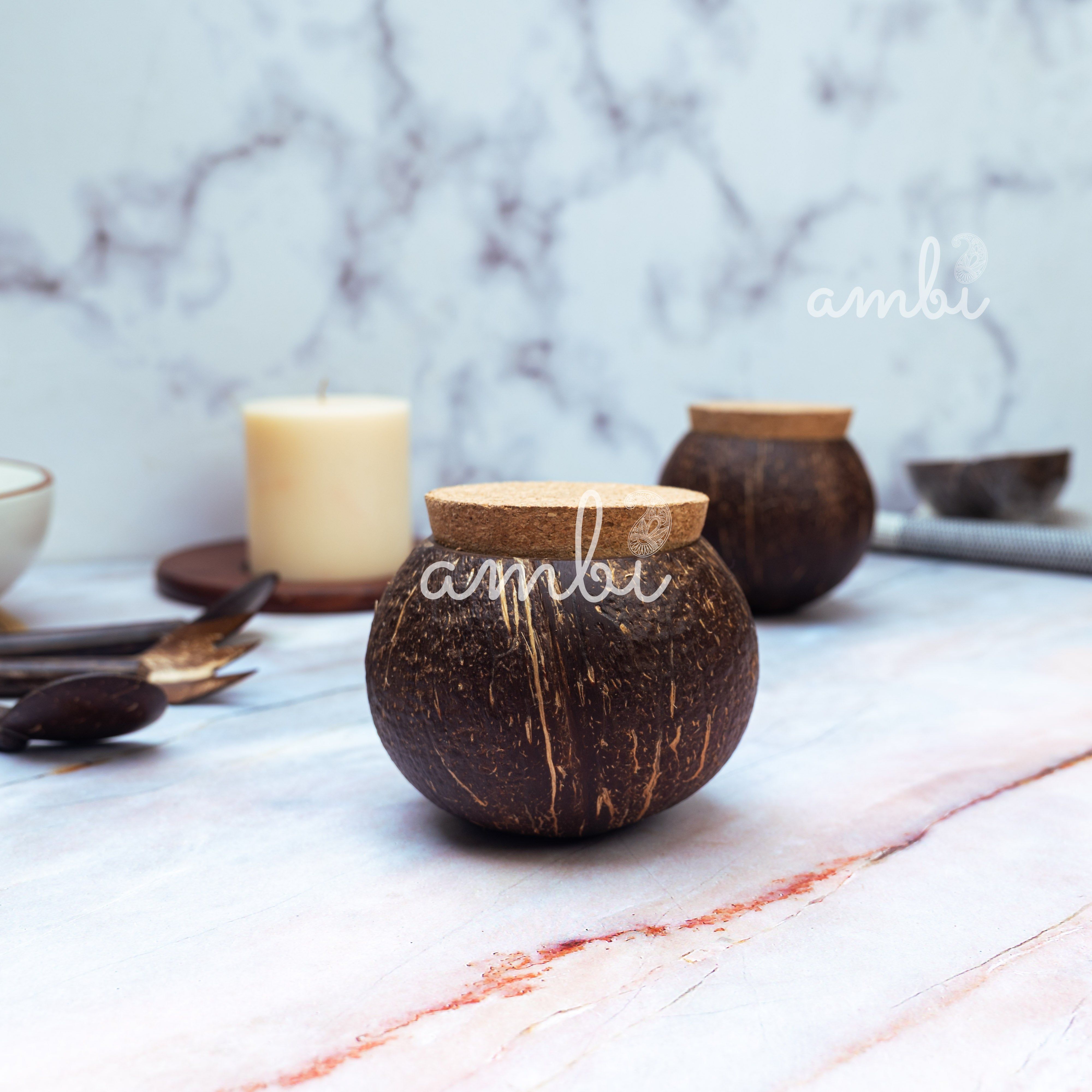 Coconut Shell Tight Storage Containers with Lid - Set of 2