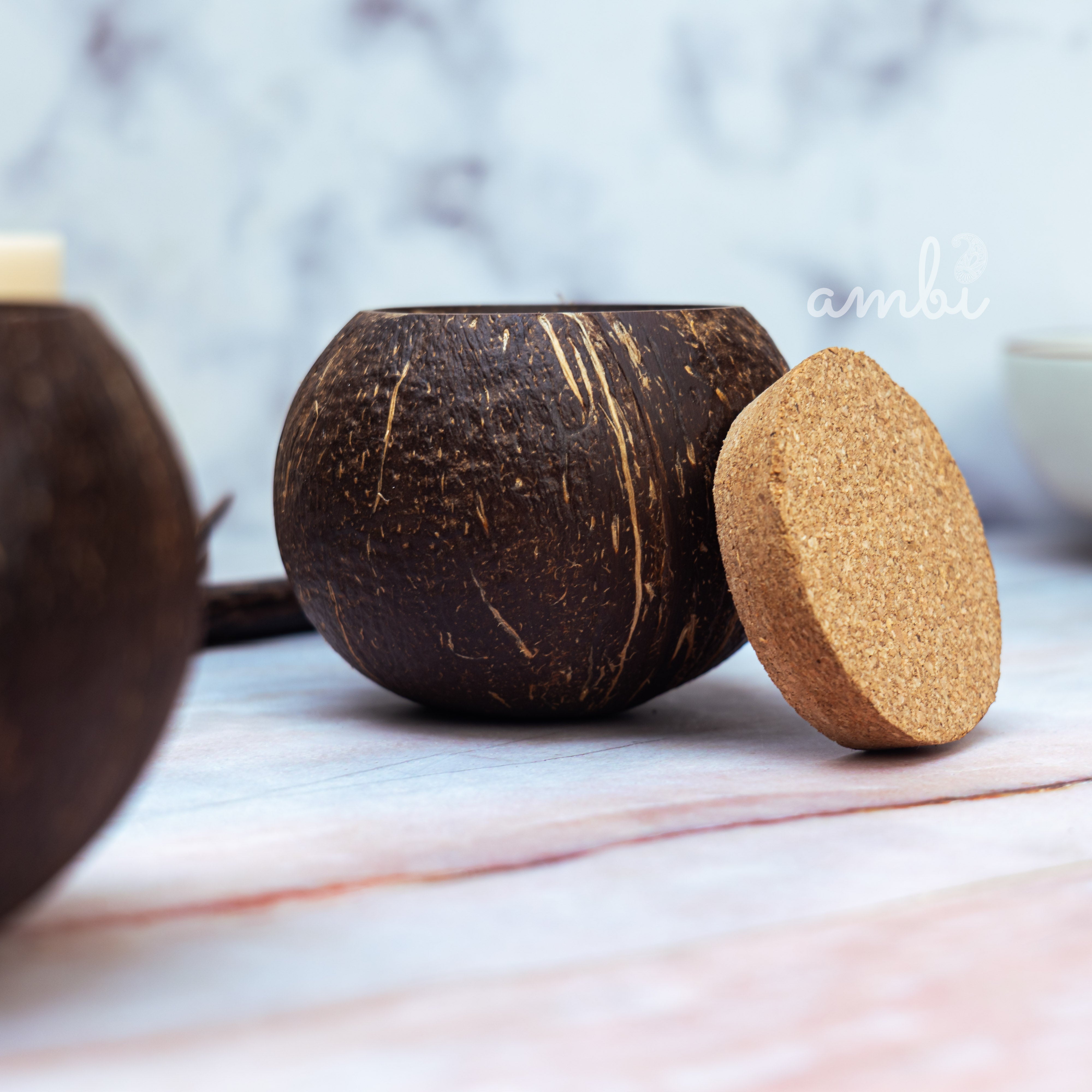 Coconut Shell Airtight Storage Containers with Lid — Set of 2, Eco-Friendly