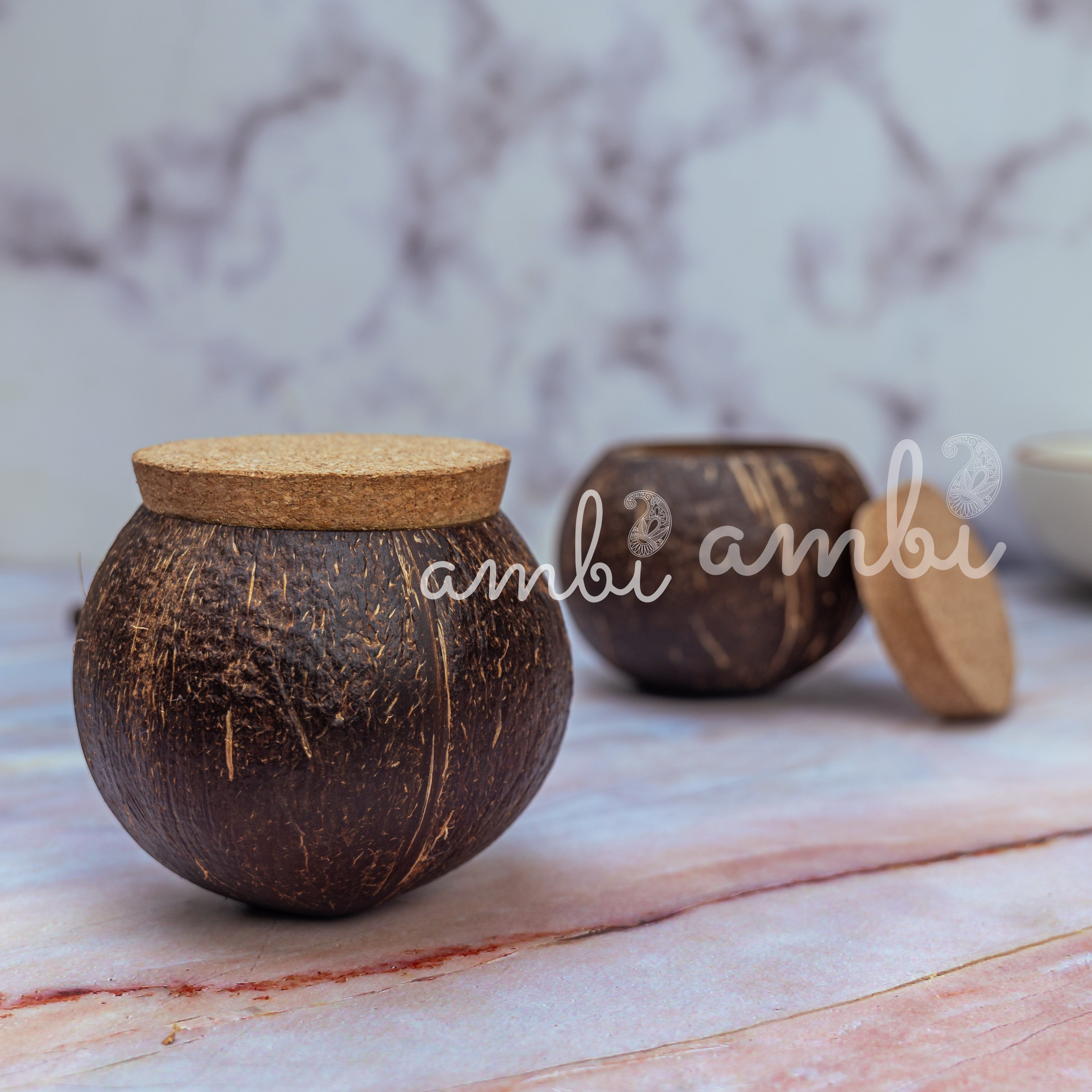 Coconut Shell Tight Storage Containers with Lid - Set of 2