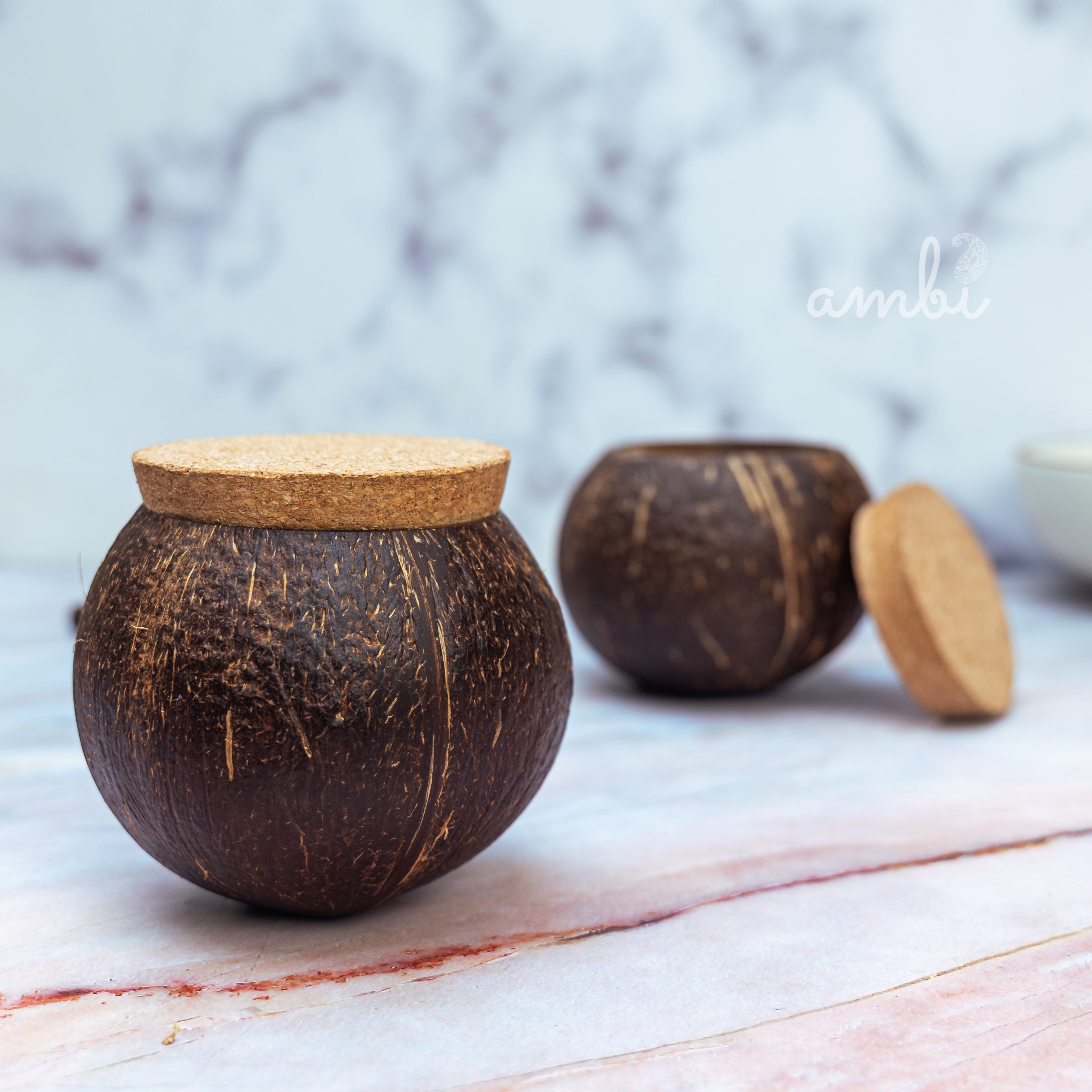 Coconut Shell Airtight Storage Containers with Lid — Set of 2, Eco-Friendly