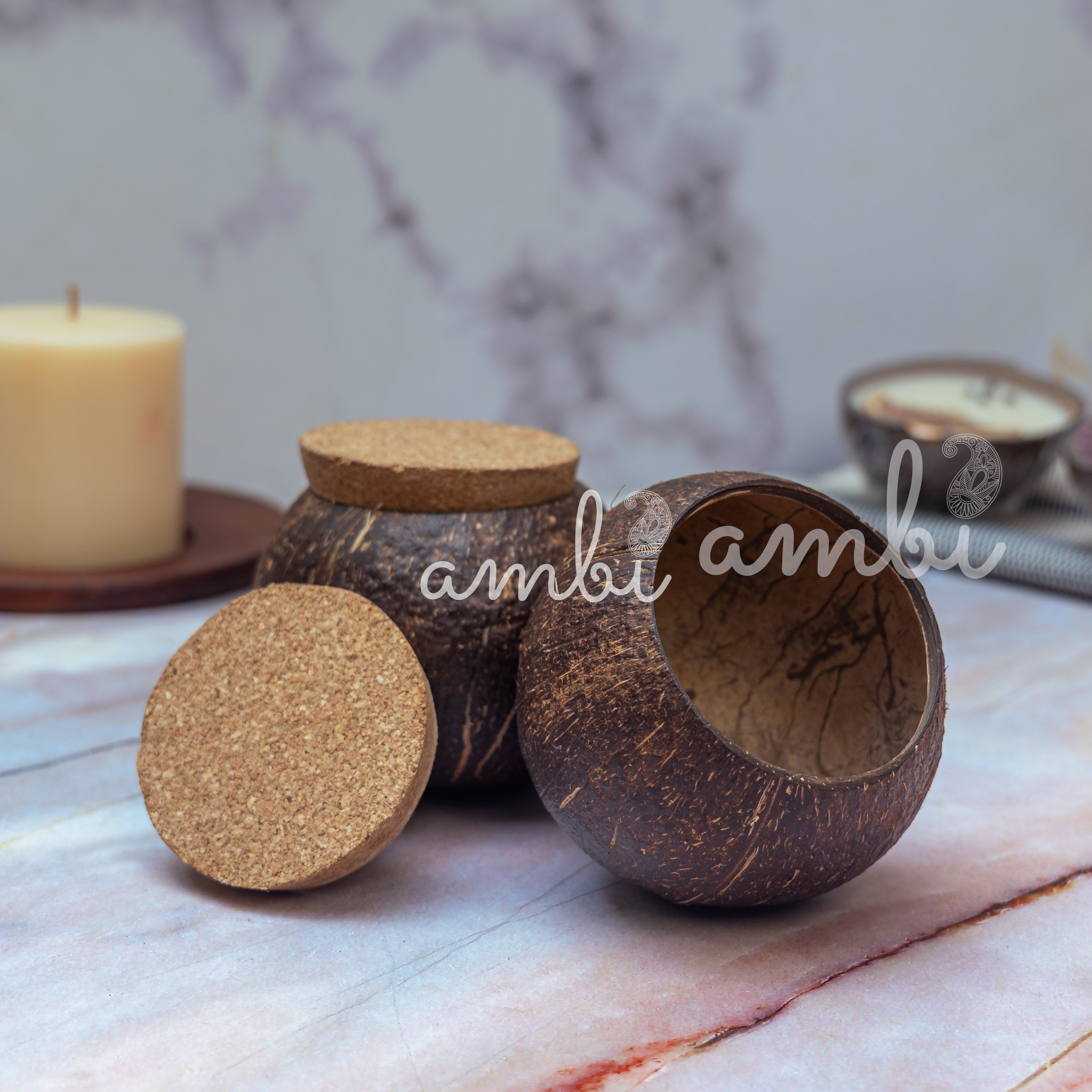 Coconut Shell Tight Storage Containers with Lid - Set of 2