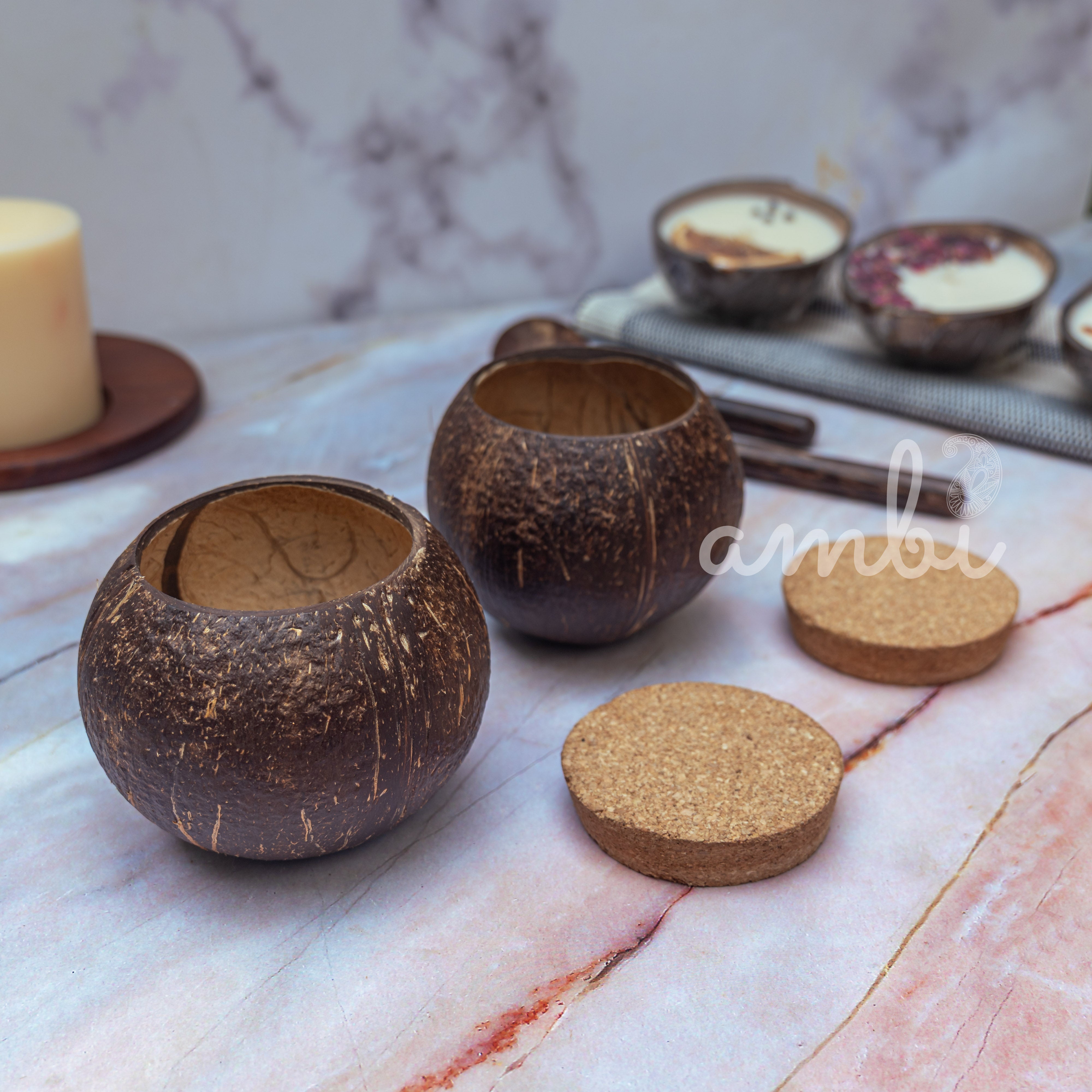 Coconut Shell Tight Storage Containers with Lid - Set of 2