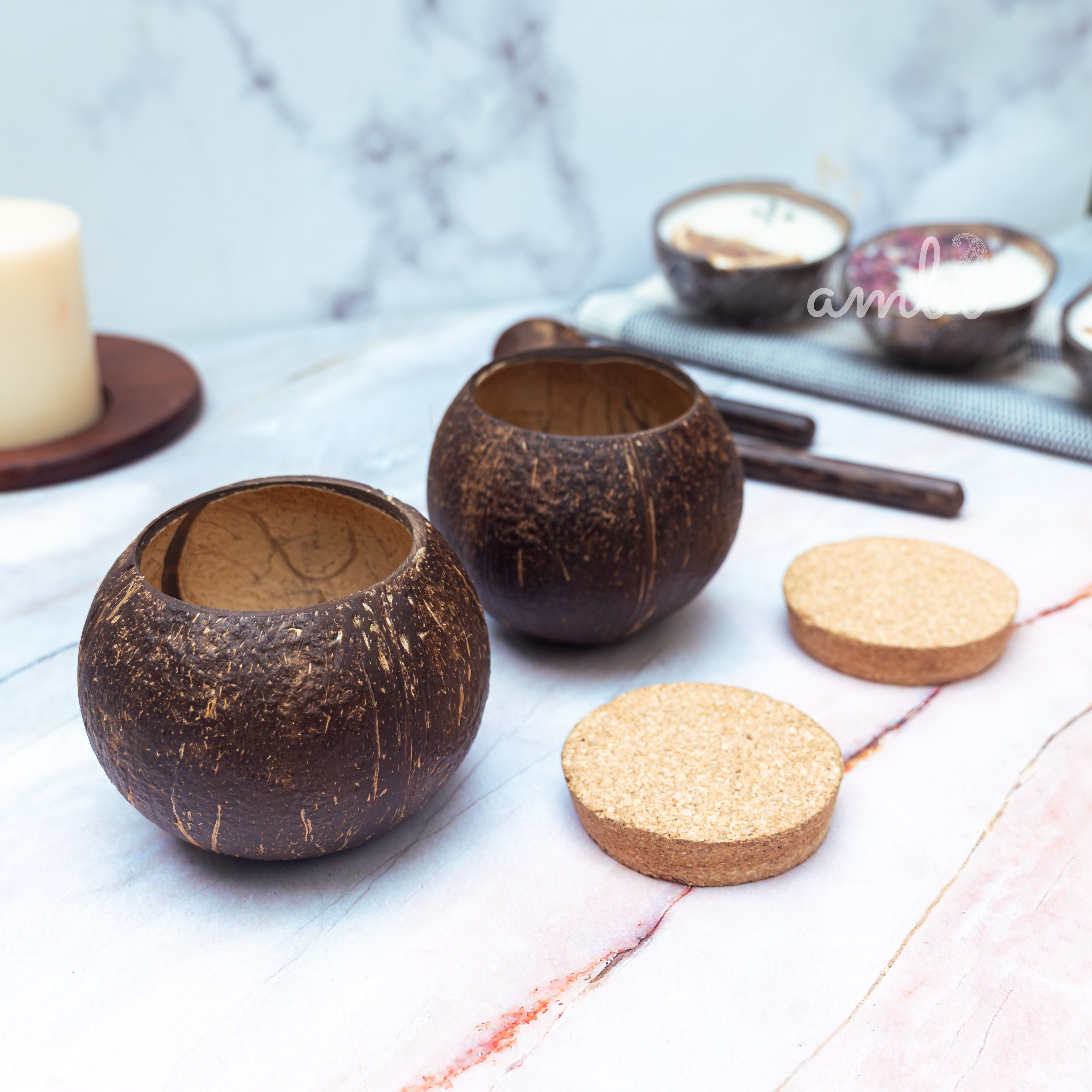 Coconut Shell Airtight Storage Containers with Lid — Set of 2, Eco-Friendly