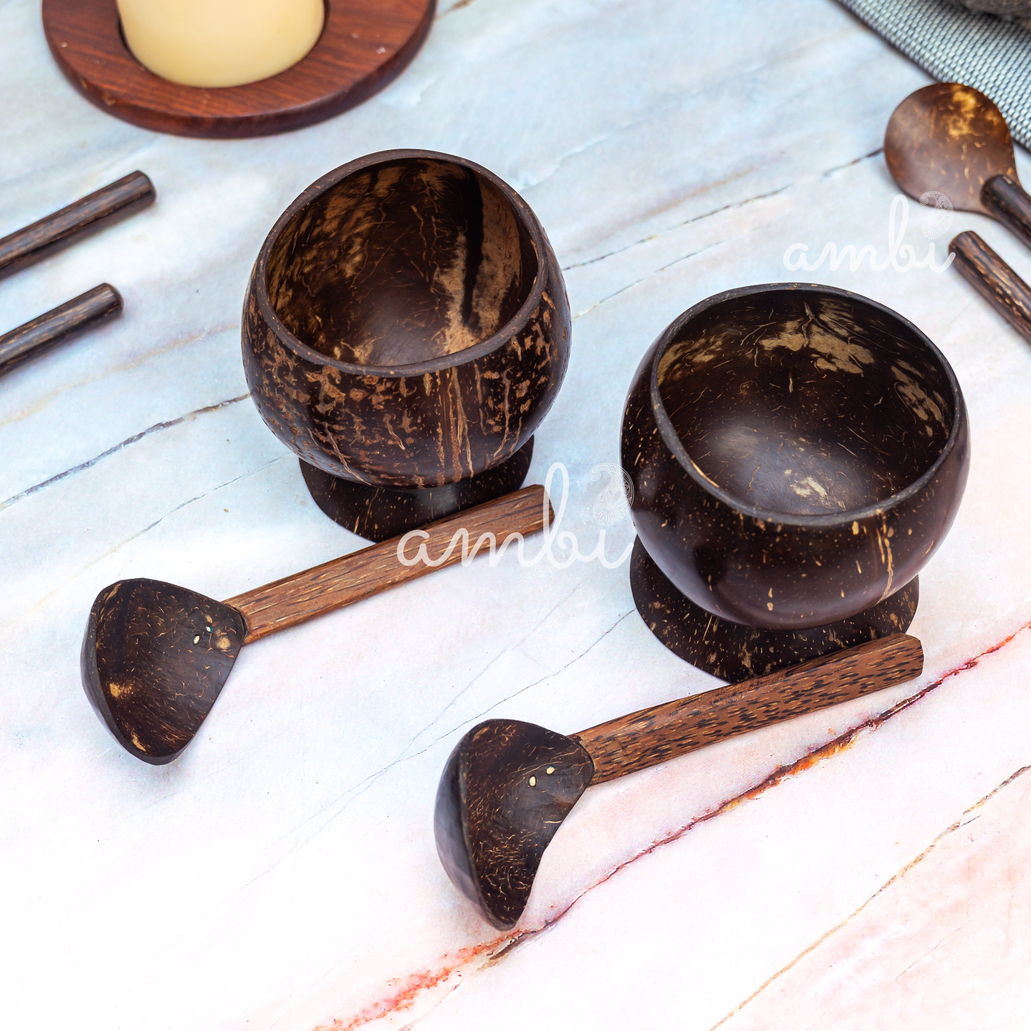 Coconut Shell Soup Bowls with Spoons — Set of 2, Handcrafted Eco-Friendly