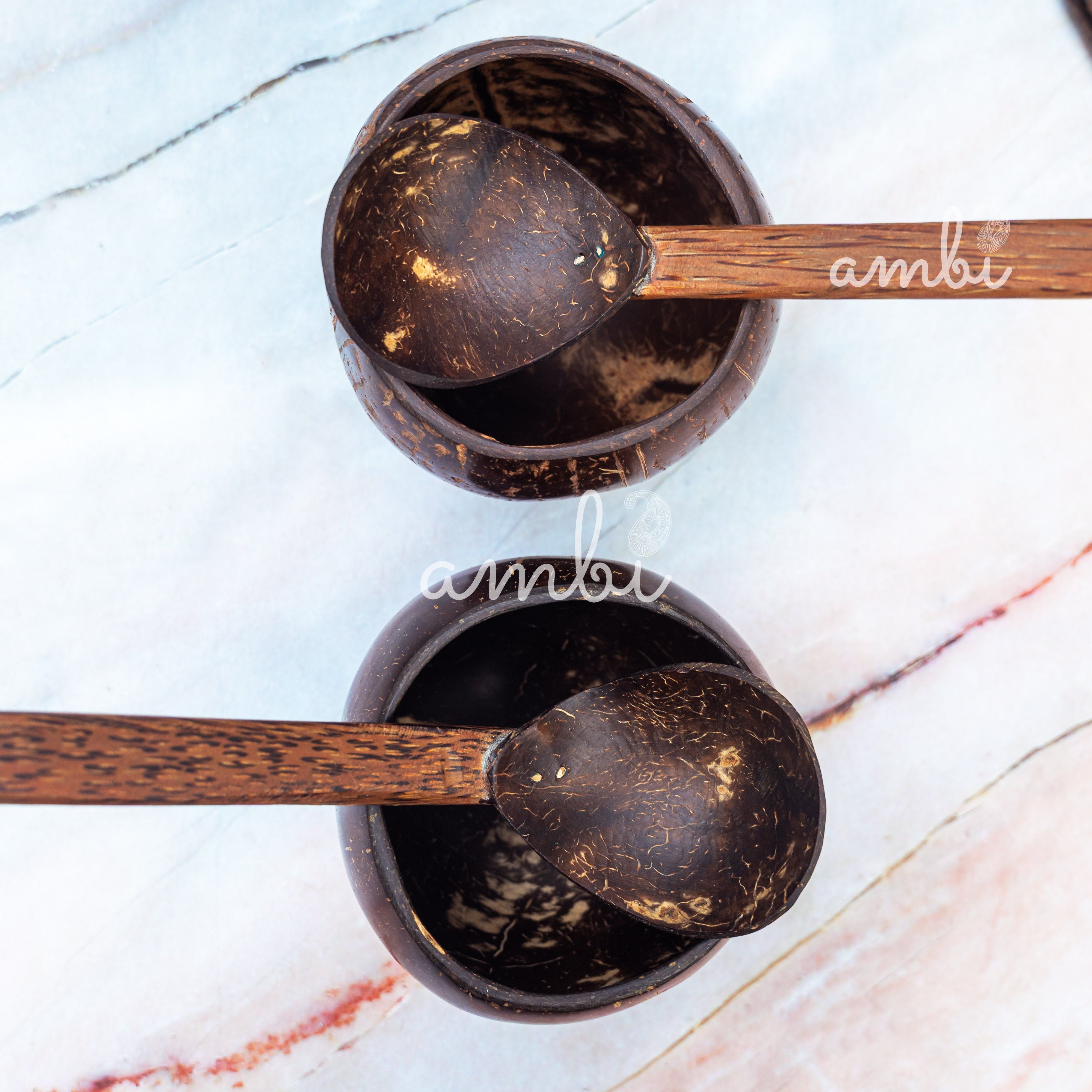 Coconut Shell Soup Bowls with Spoons - Set of 2
