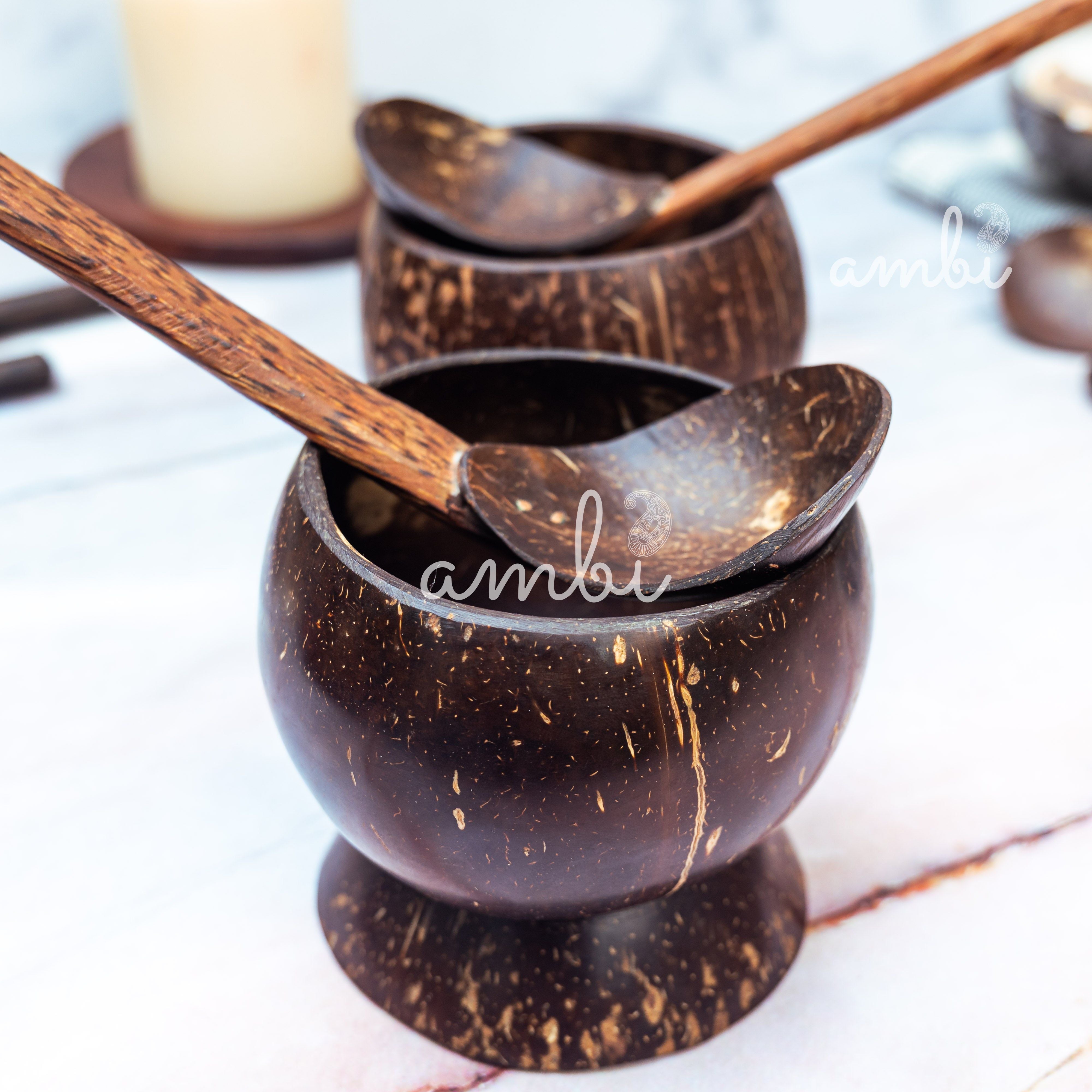 Coconut Shell Soup Bowls with Spoons — Set of 2, Handcrafted Eco-Friendly
