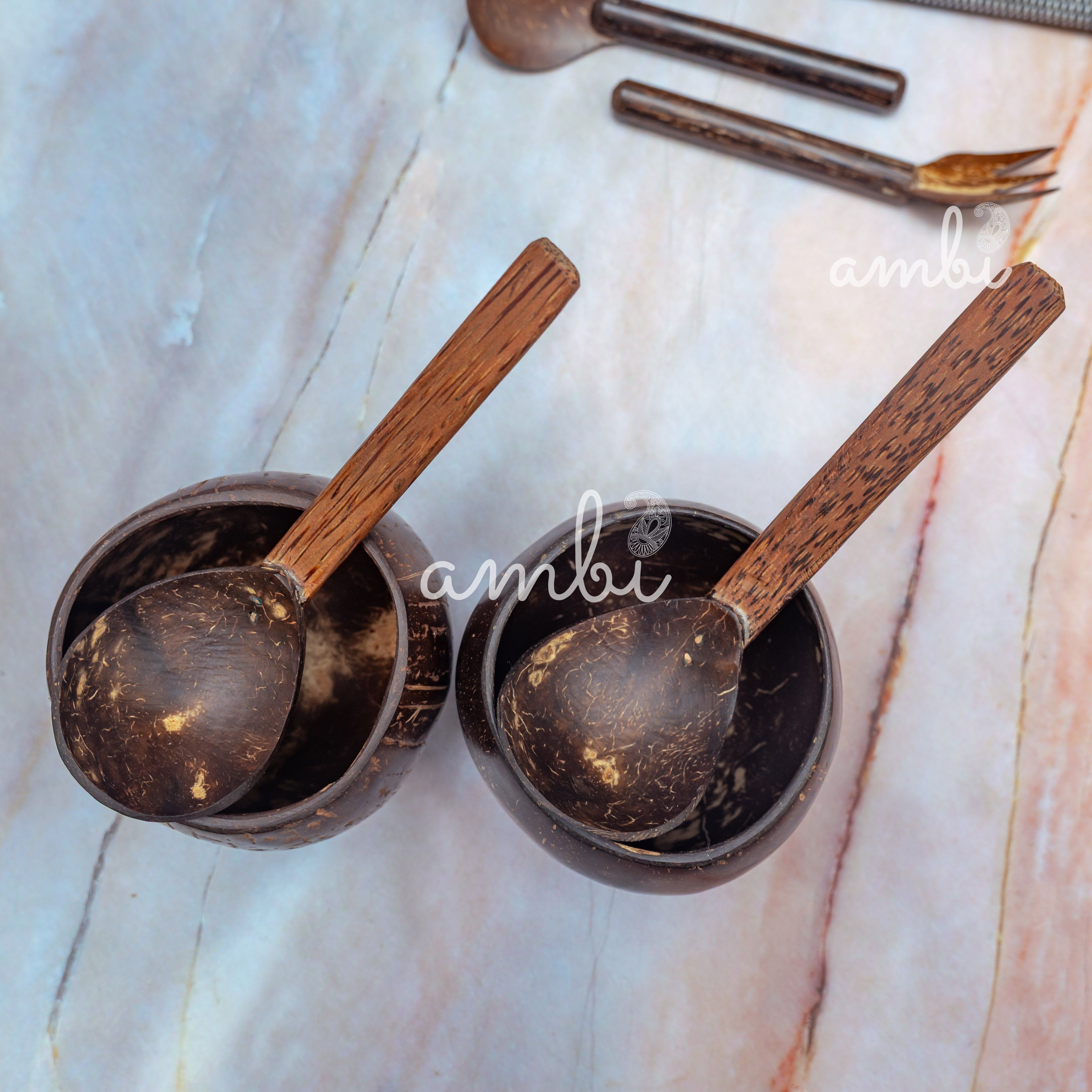 Coconut Shell Soup Bowls with Spoons — Set of 2, Handcrafted Eco-Friendly