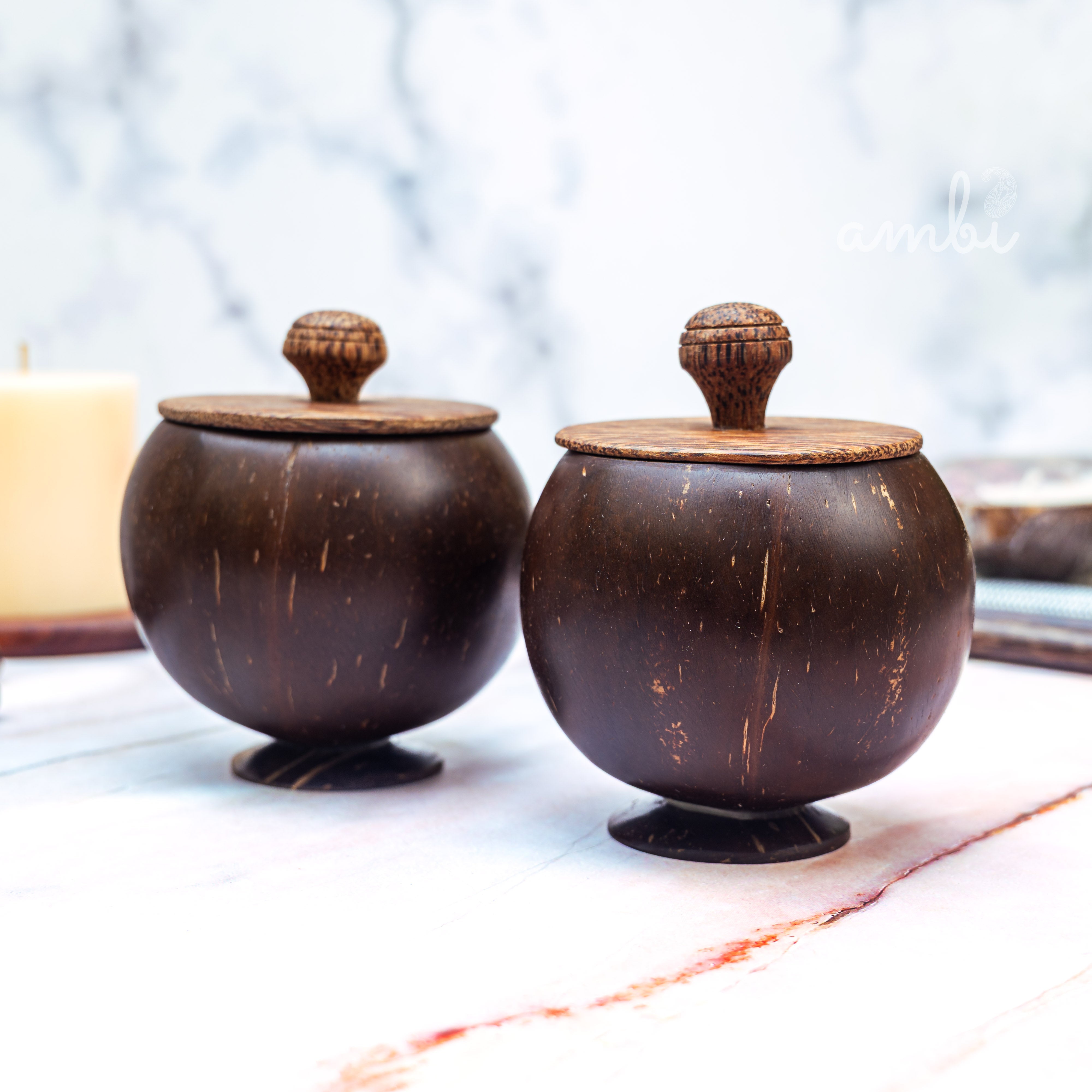 Coconut Shell Storage Container with Wooden Lid — Set of 2, Handcrafted