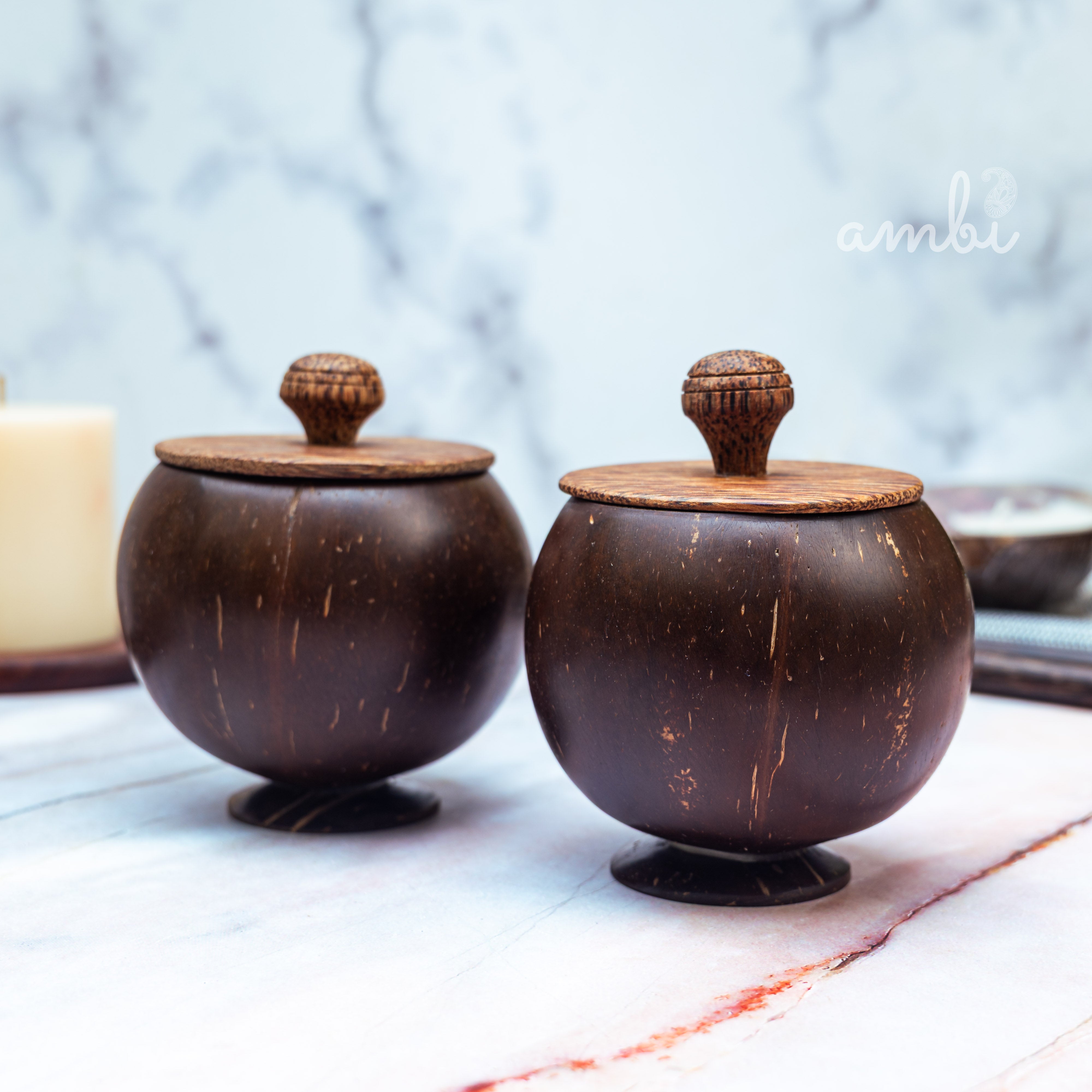 Coconut Shell Storage Container with Wooden Lid — Set of 2, Handcrafted