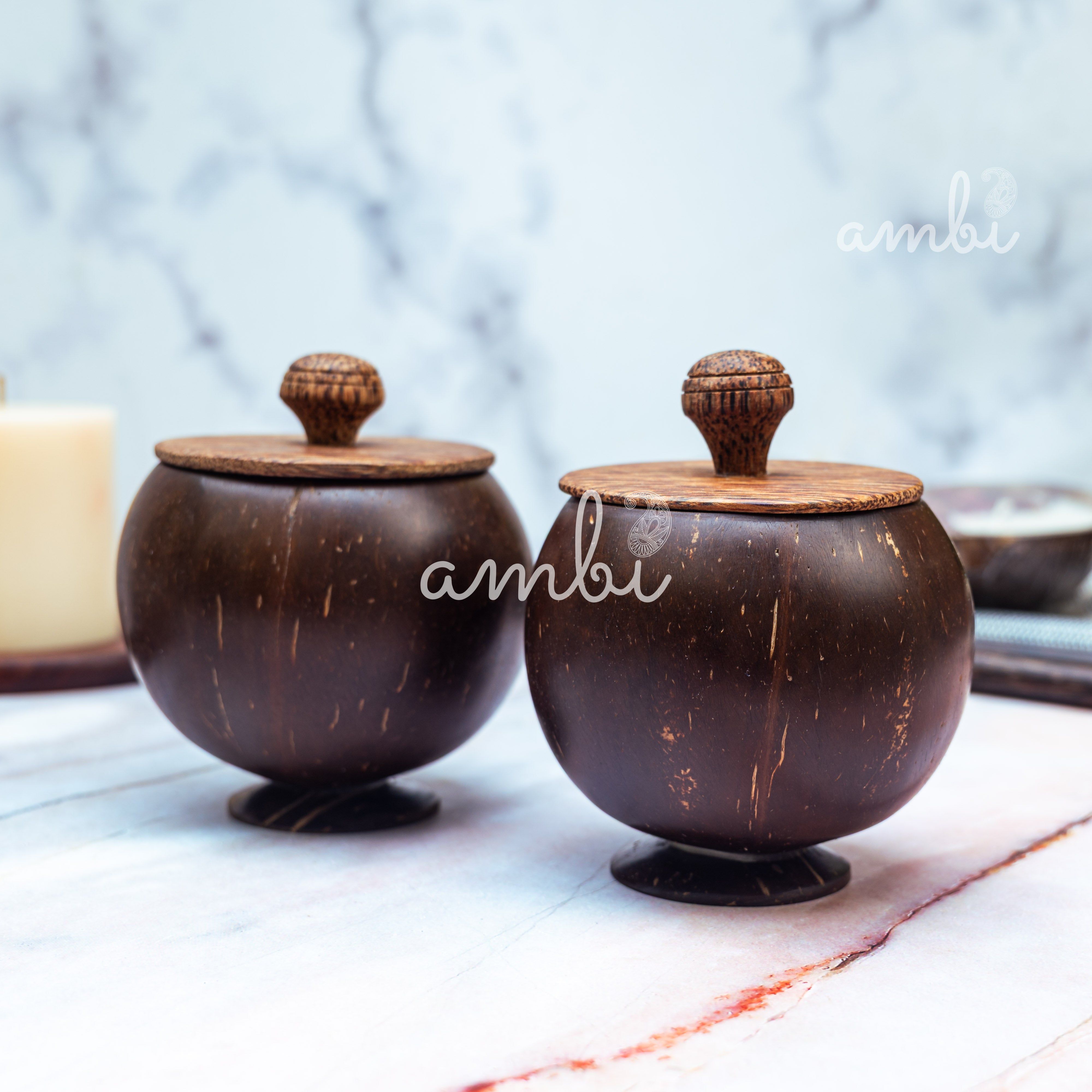 Coconut Shell Storage Container with Wooden Lid - Set of 2