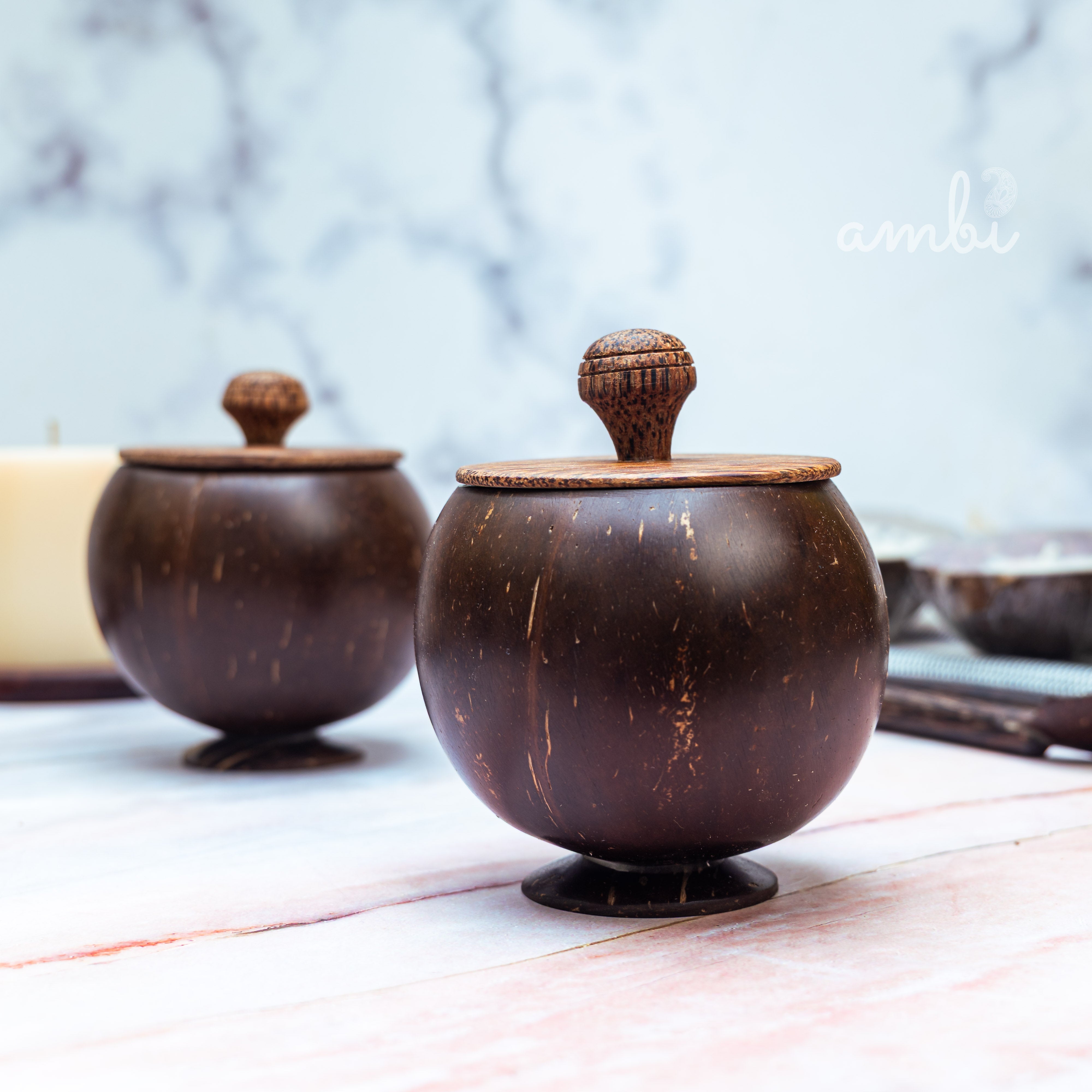 Coconut Shell Storage Container with Wooden Lid — Set of 2, Handcrafted