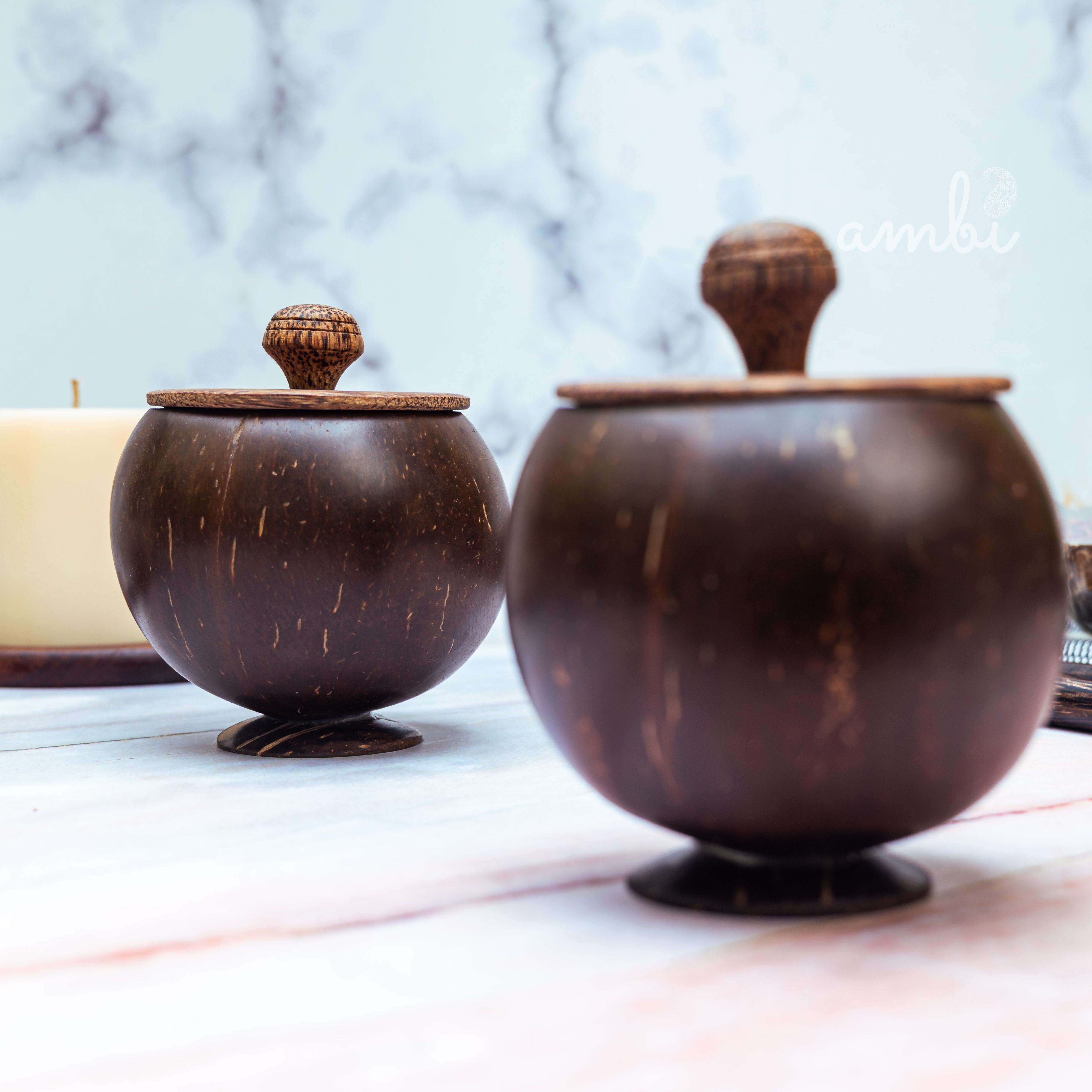 Coconut Shell Storage Container with Wooden Lid — Set of 2, Handcrafted
