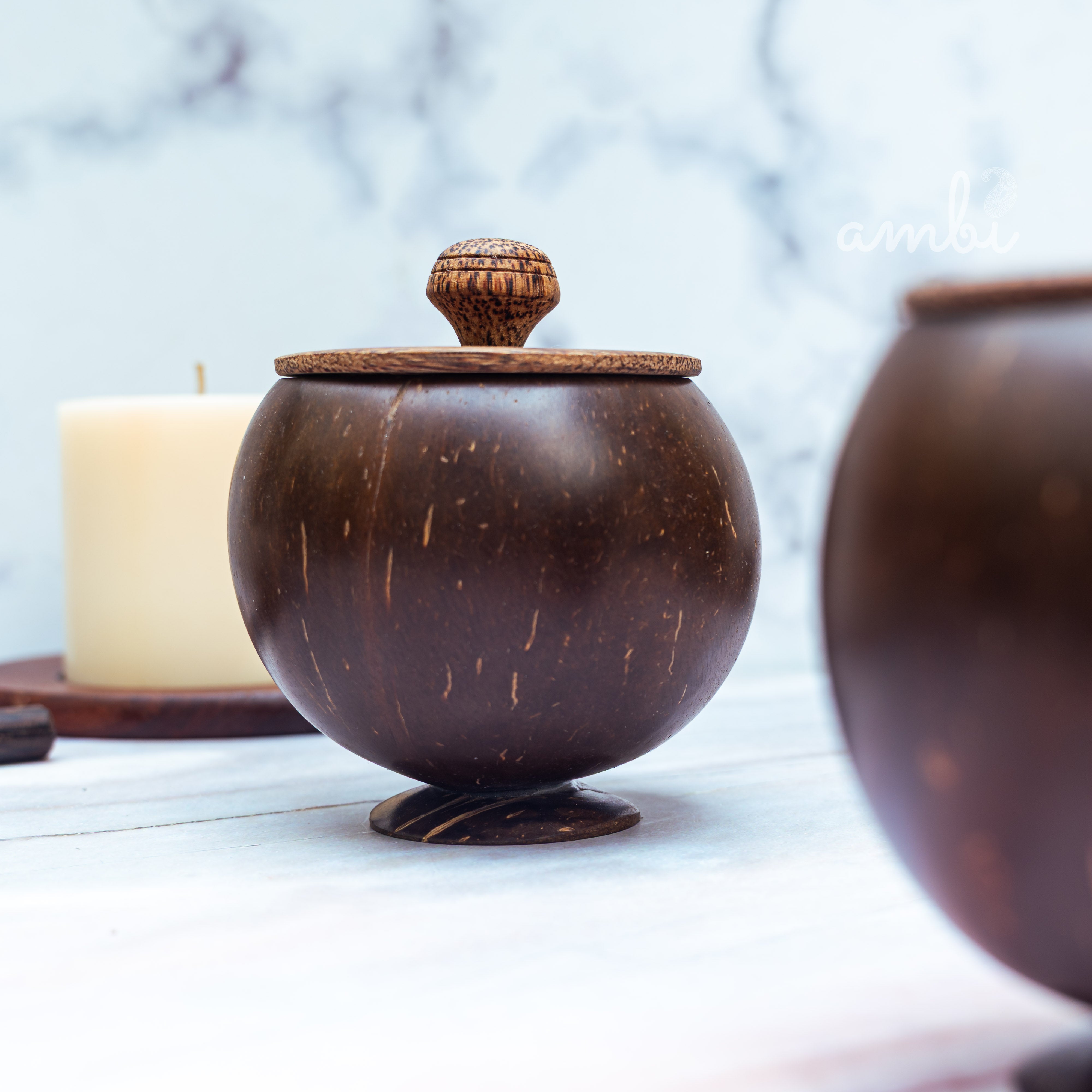 Coconut Shell Storage Container with Wooden Lid — Set of 2, Handcrafted
