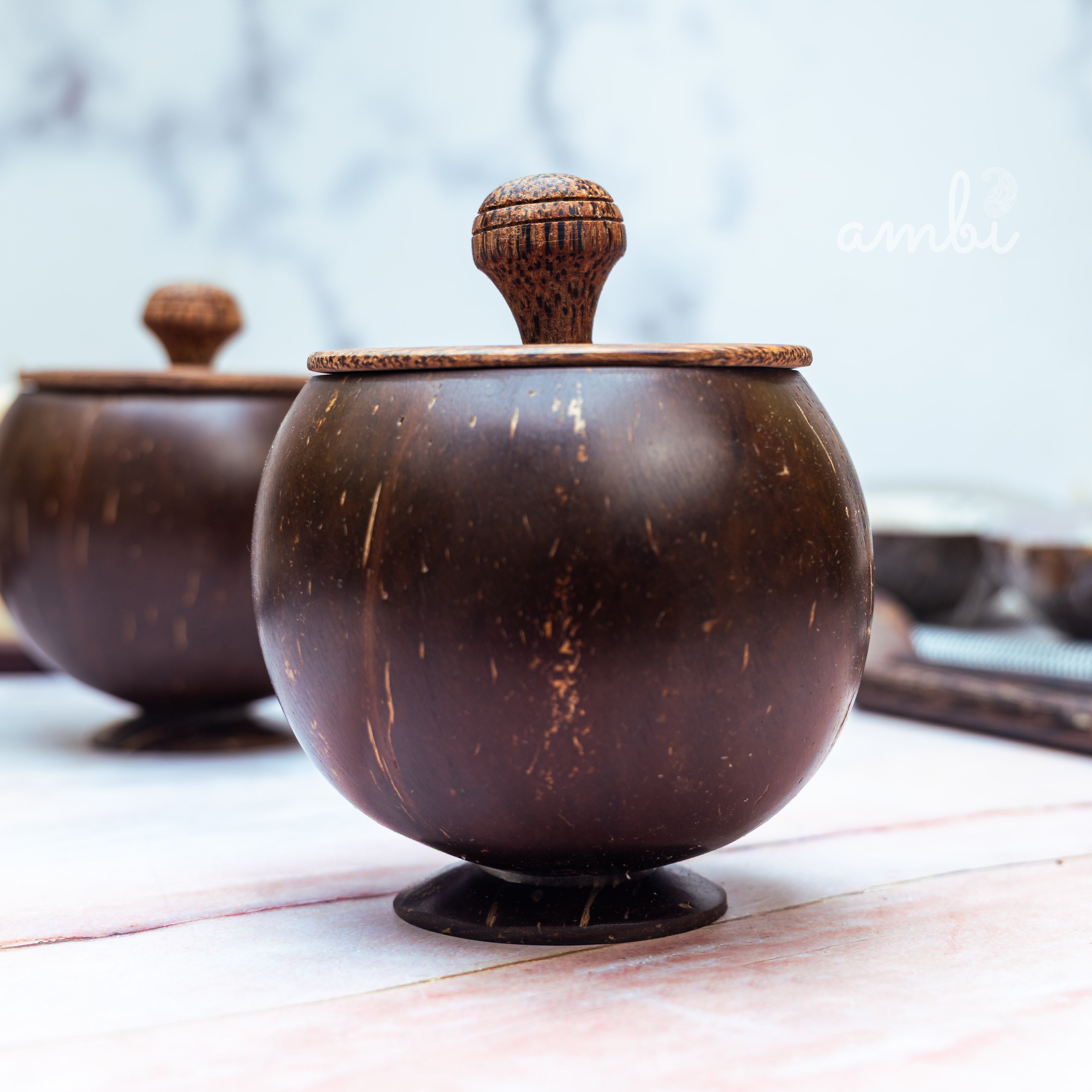 Coconut Shell Storage Container with Wooden Lid — Set of 2, Handcrafted