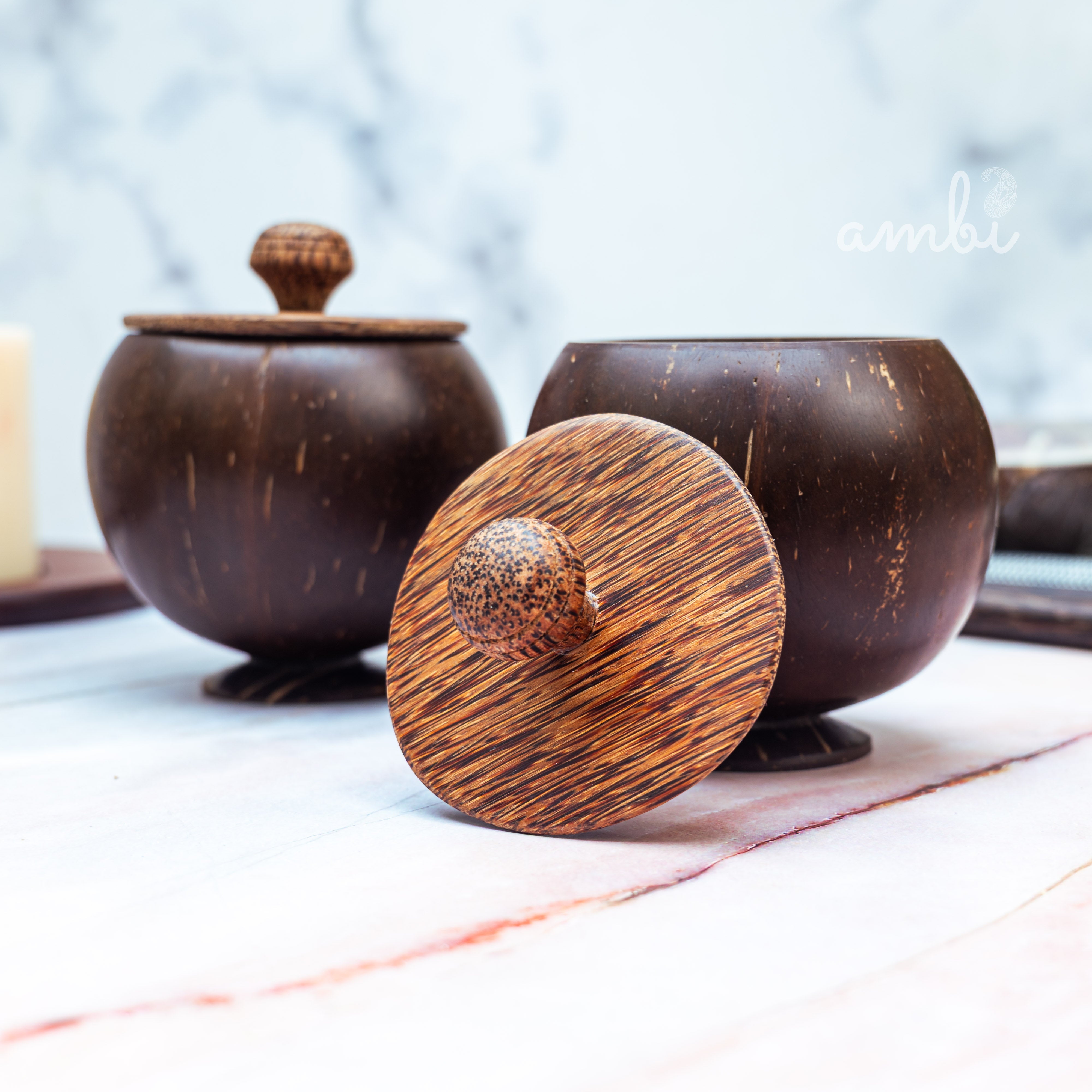 Coconut Shell Storage Container with Wooden Lid — Set of 2, Handcrafted