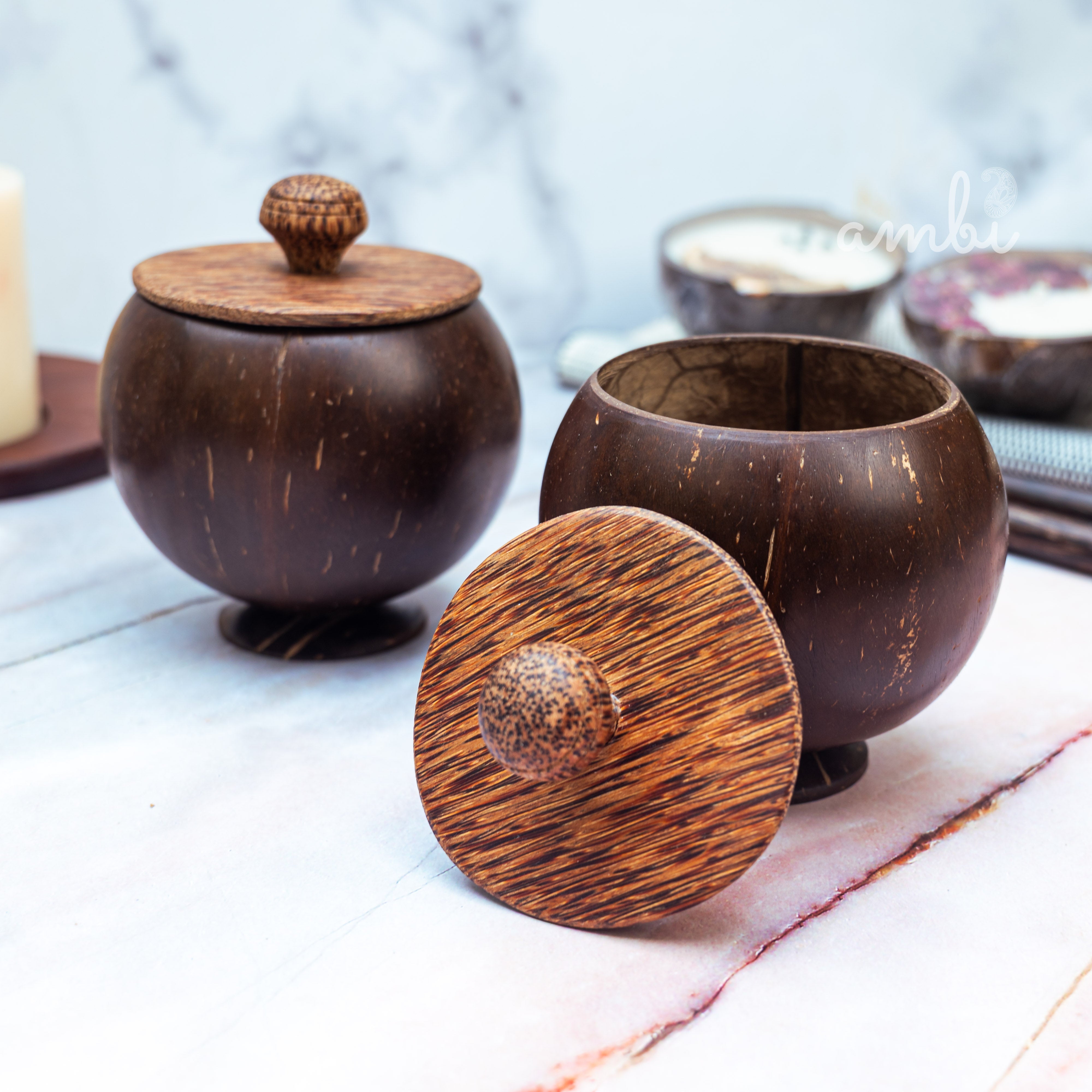 Coconut Shell Storage Container with Wooden Lid — Set of 2, Handcrafted