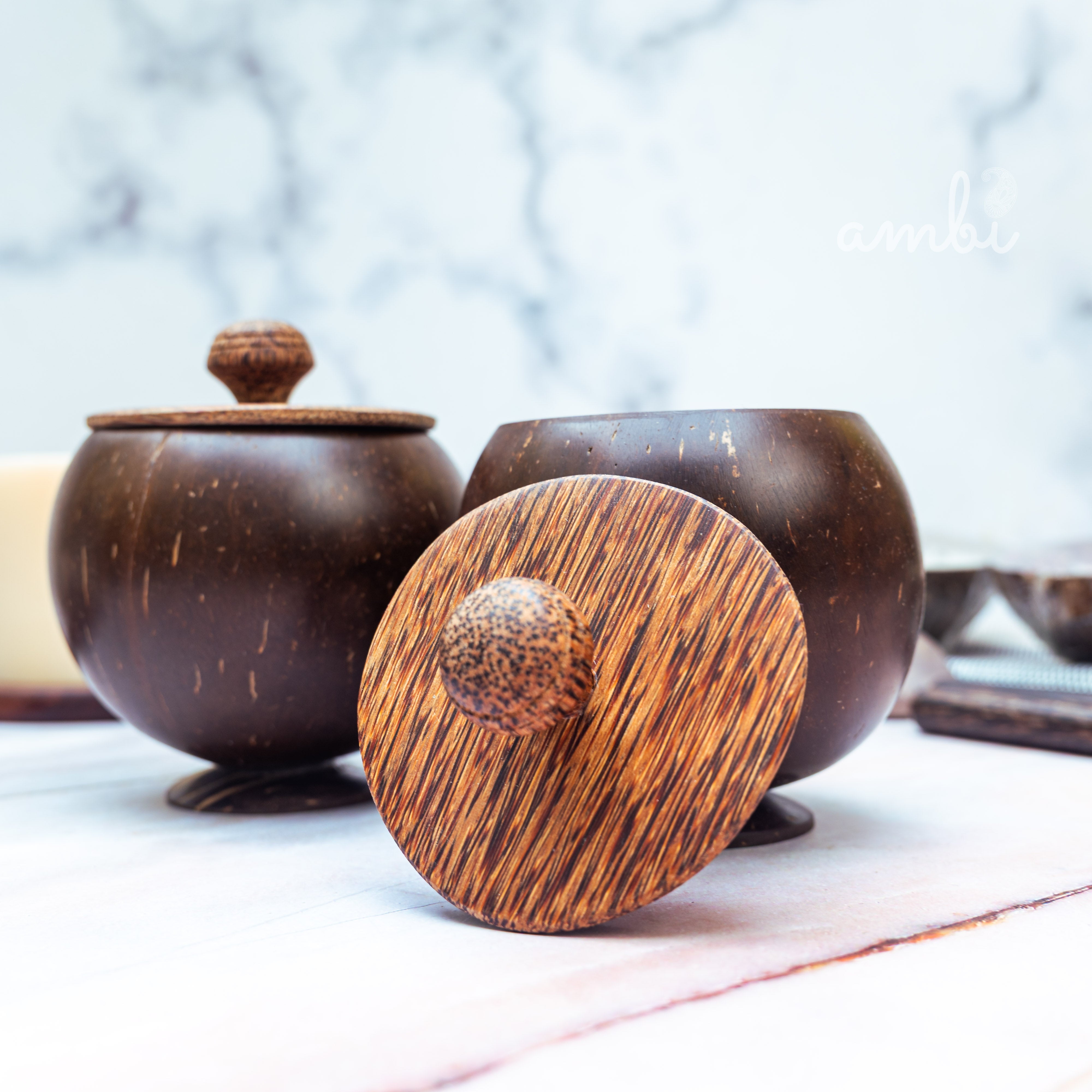 Coconut Shell Storage Container with Wooden Lid — Set of 2, Handcrafted