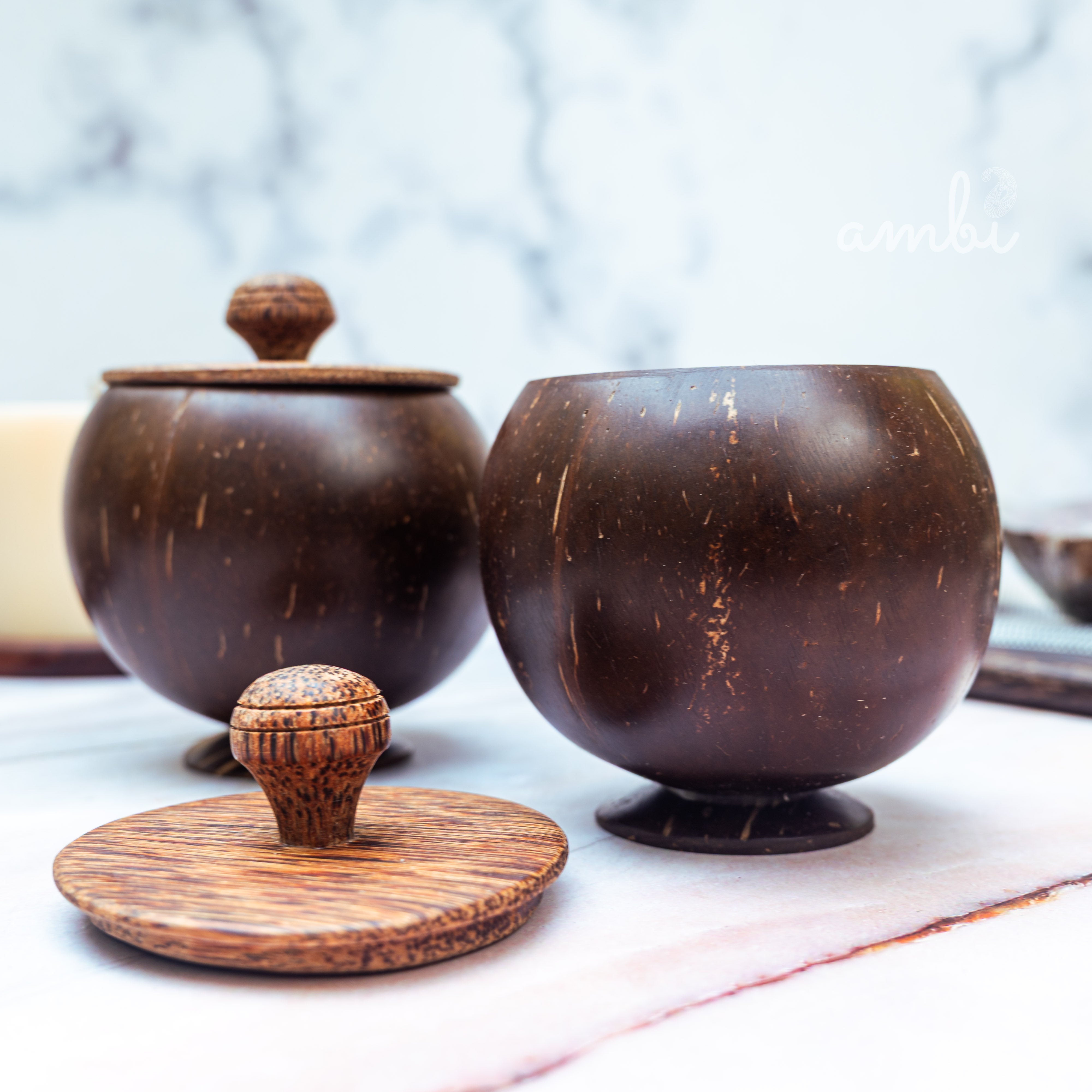 Coconut Shell Storage Container with Wooden Lid — Set of 2, Handcrafted