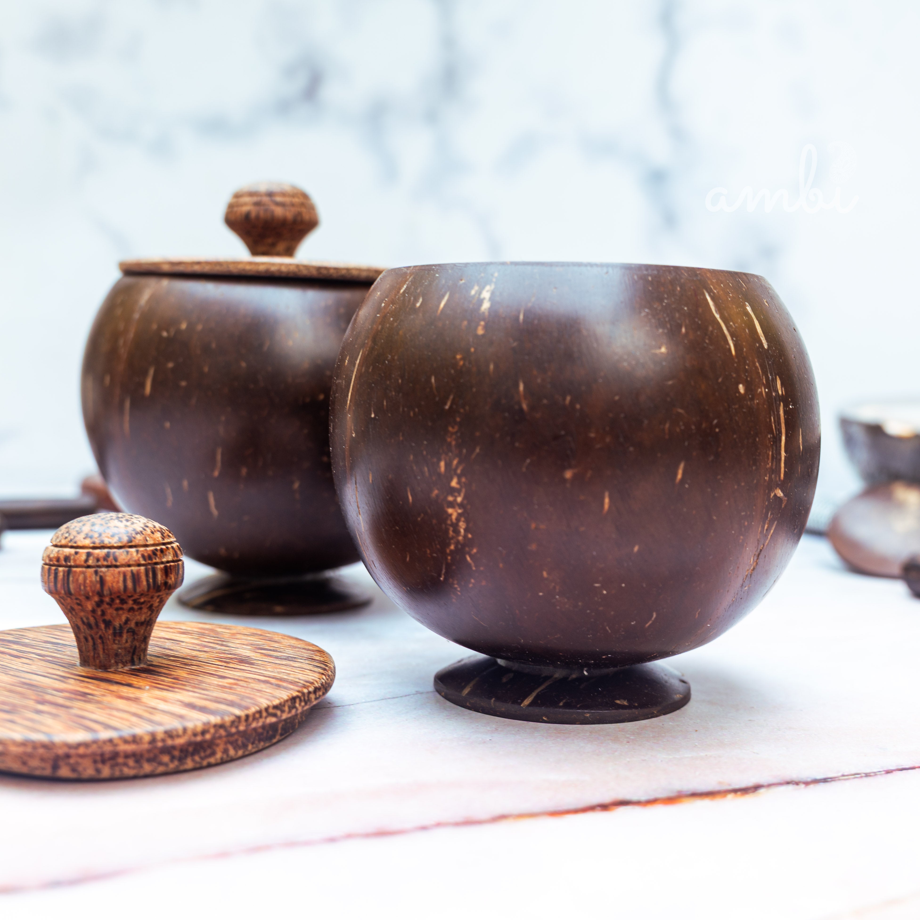 Coconut Shell Storage Container with Wooden Lid — Set of 2, Handcrafted