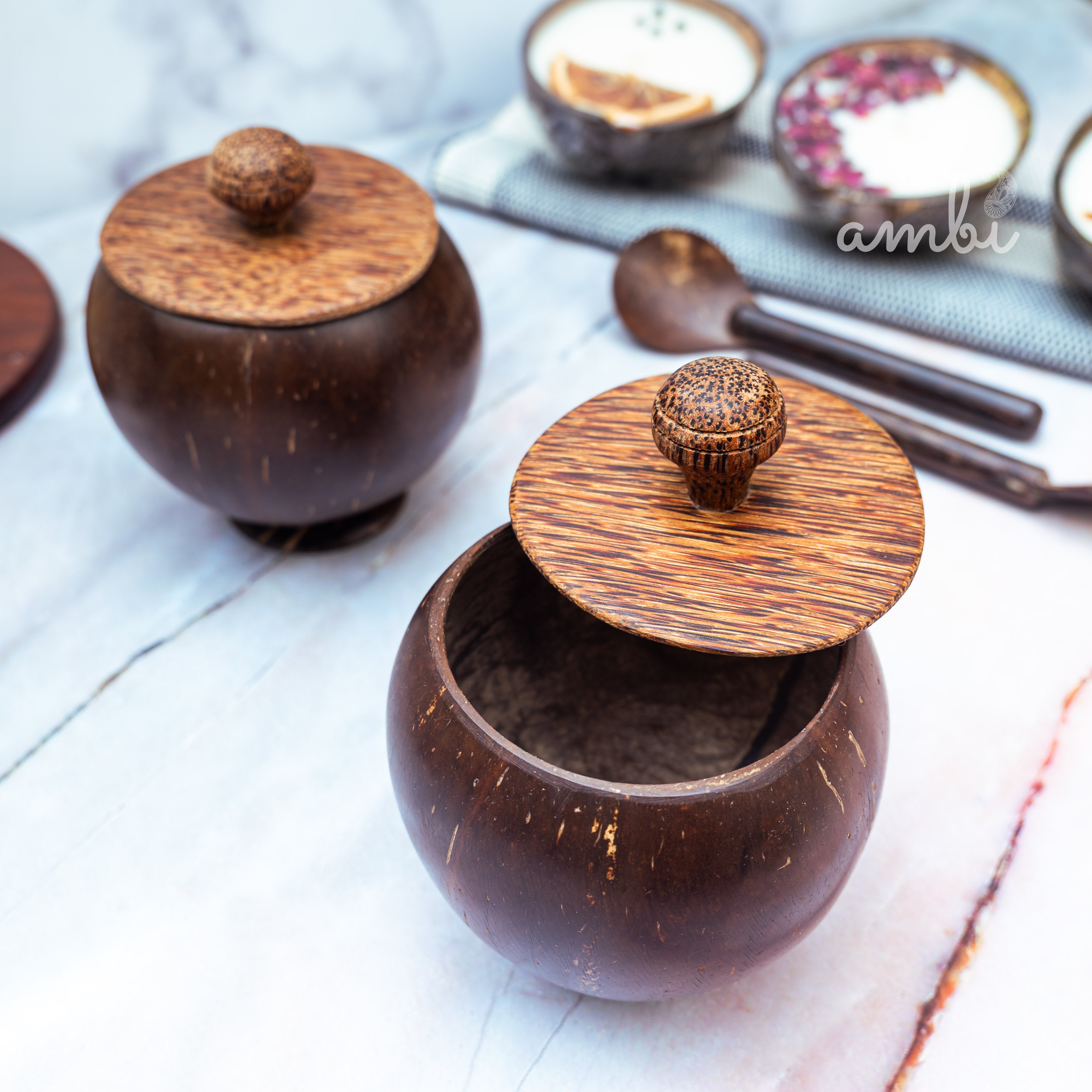 Coconut Shell Storage Container with Wooden Lid — Set of 2, Handcrafted