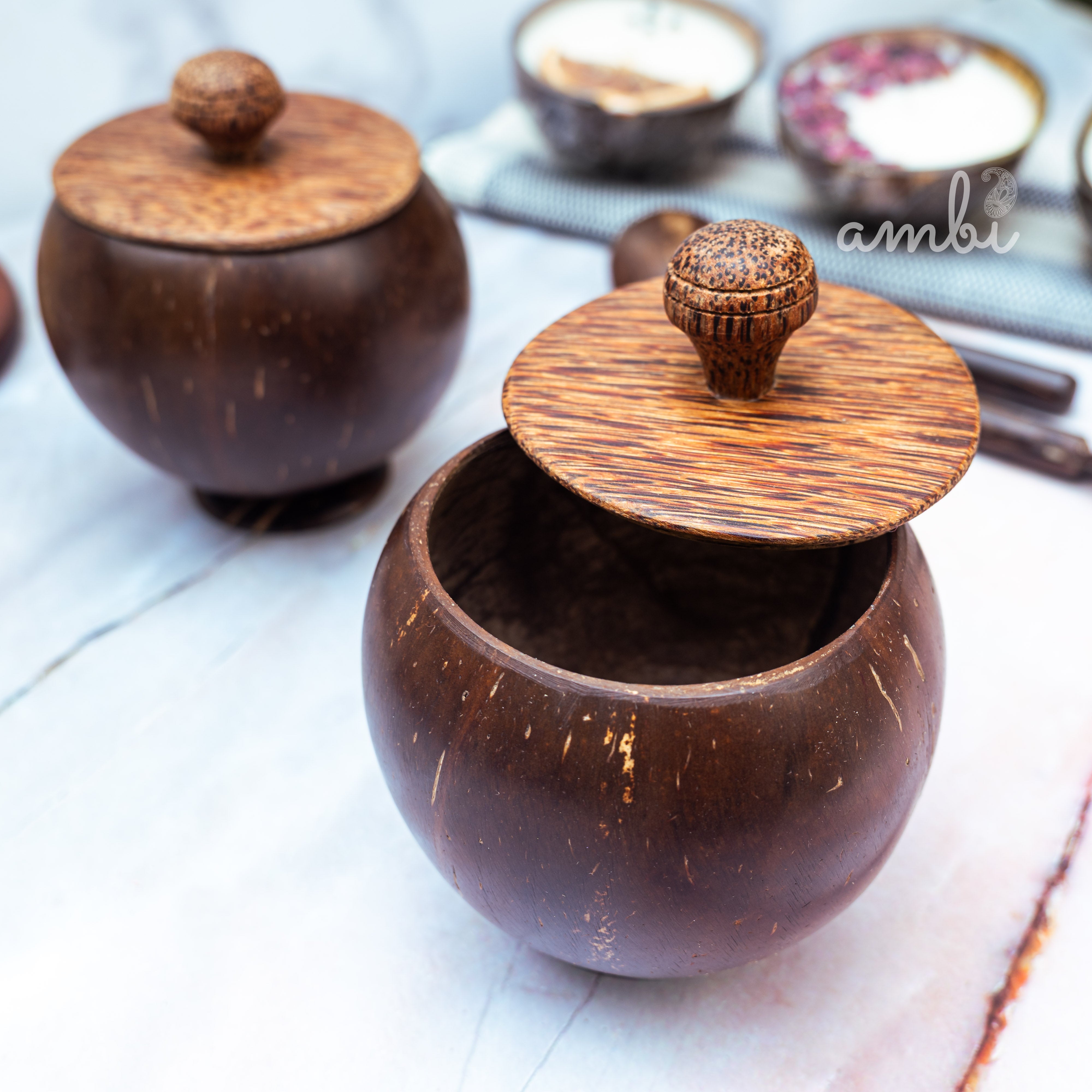 Coconut Shell Storage Container with Wooden Lid — Set of 2, Handcrafted