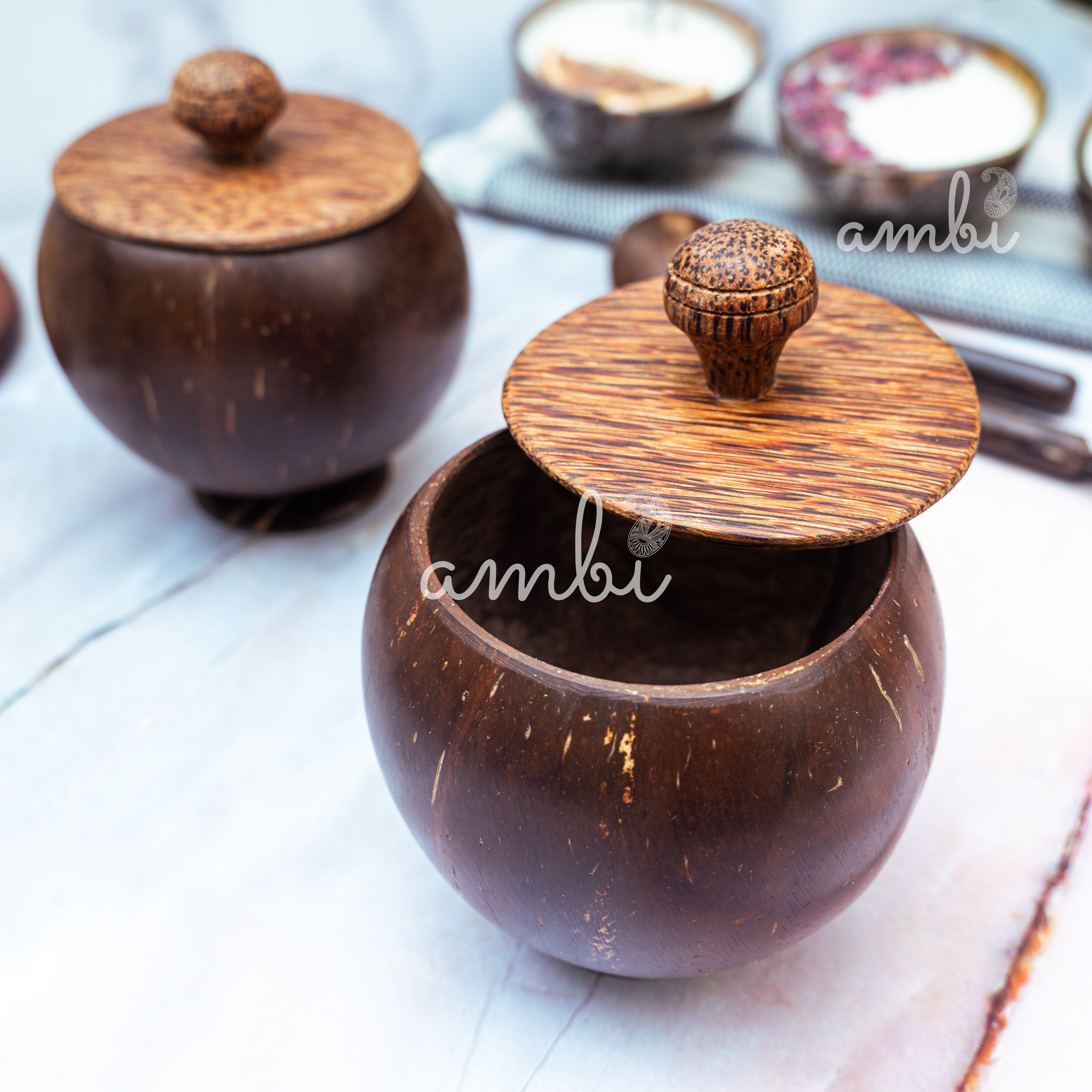 Coconut Shell Storage Container with Wooden Lid - Set of 2
