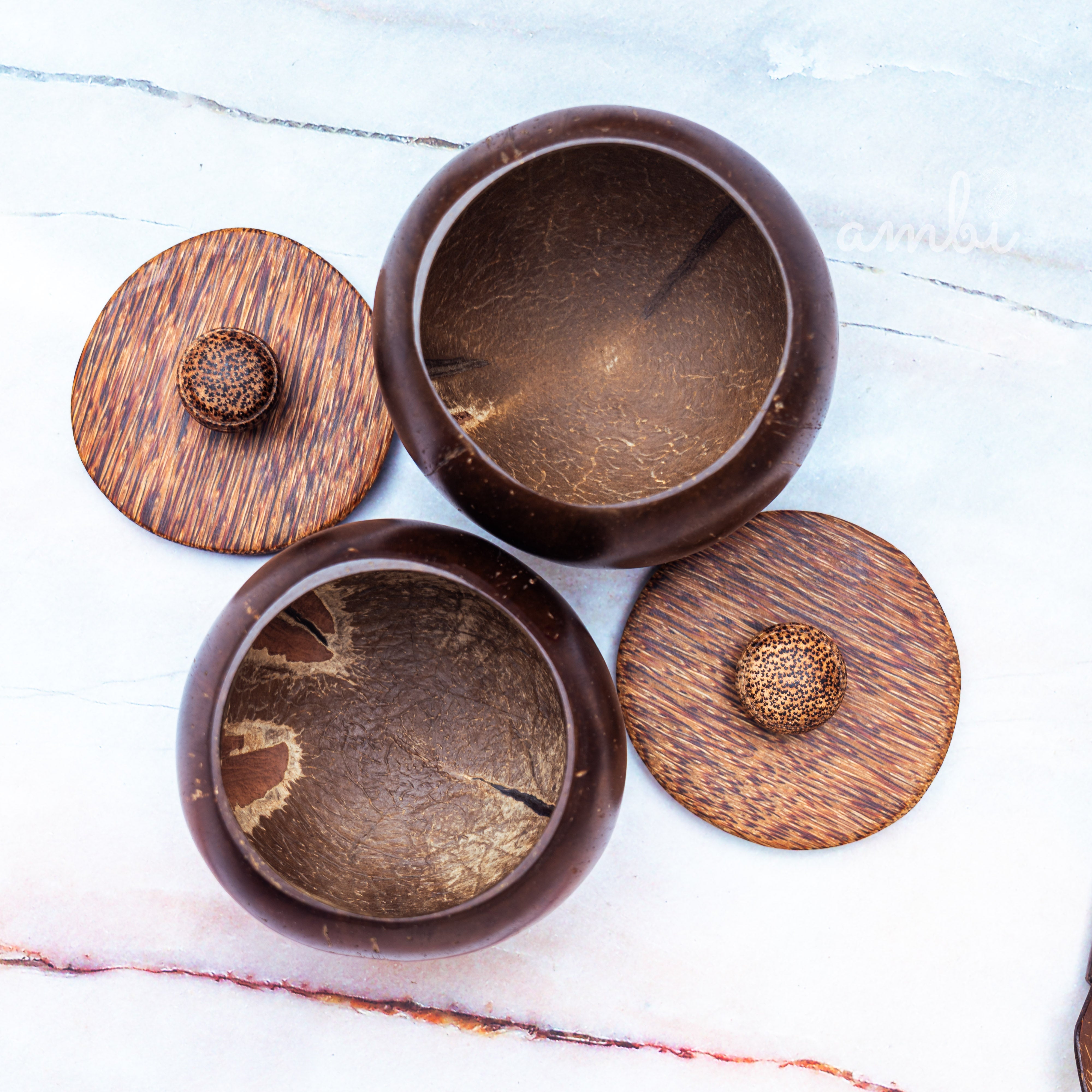 Coconut Shell Storage Container with Wooden Lid — Set of 2, Handcrafted